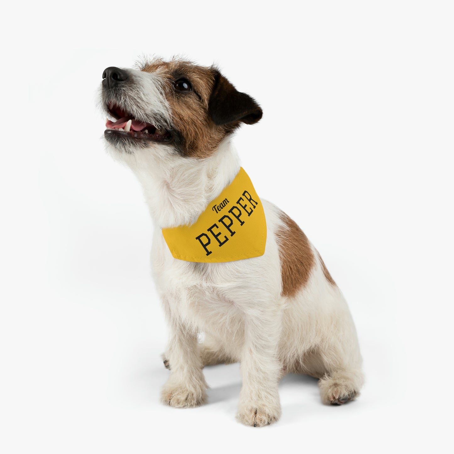 Personalized Pet Sports Team Bandana Collar