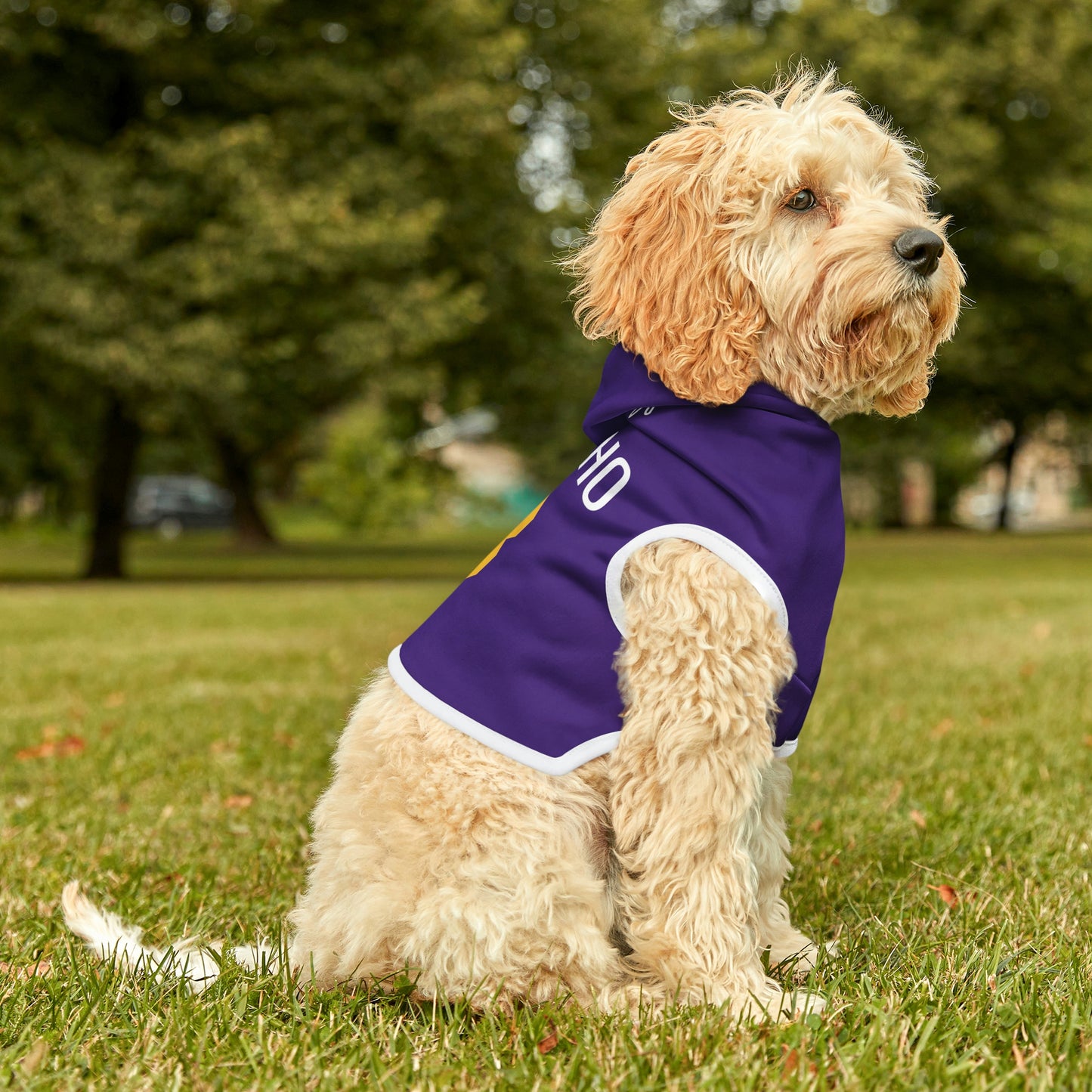 Personalized Minnesota Vikings Pet Hoodie