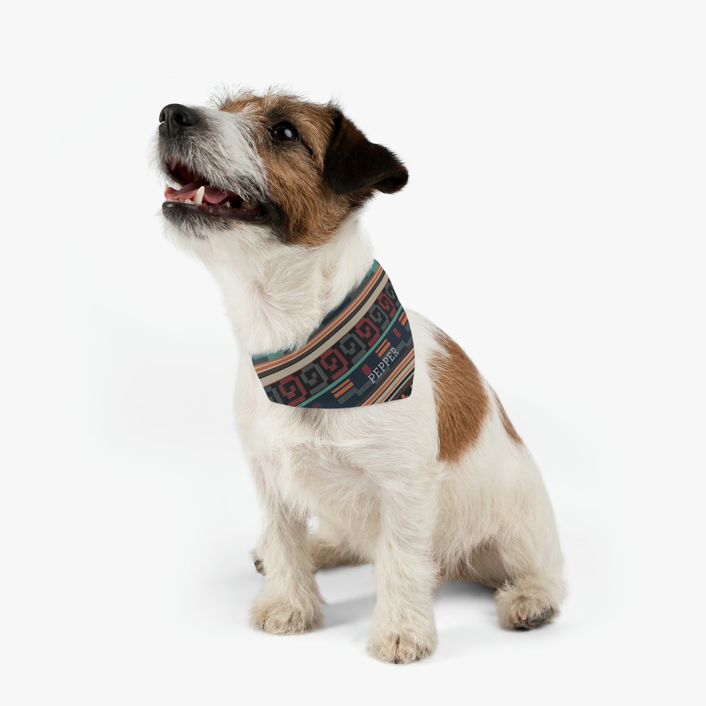 Personalized Western Boho Pet Bandana Collar