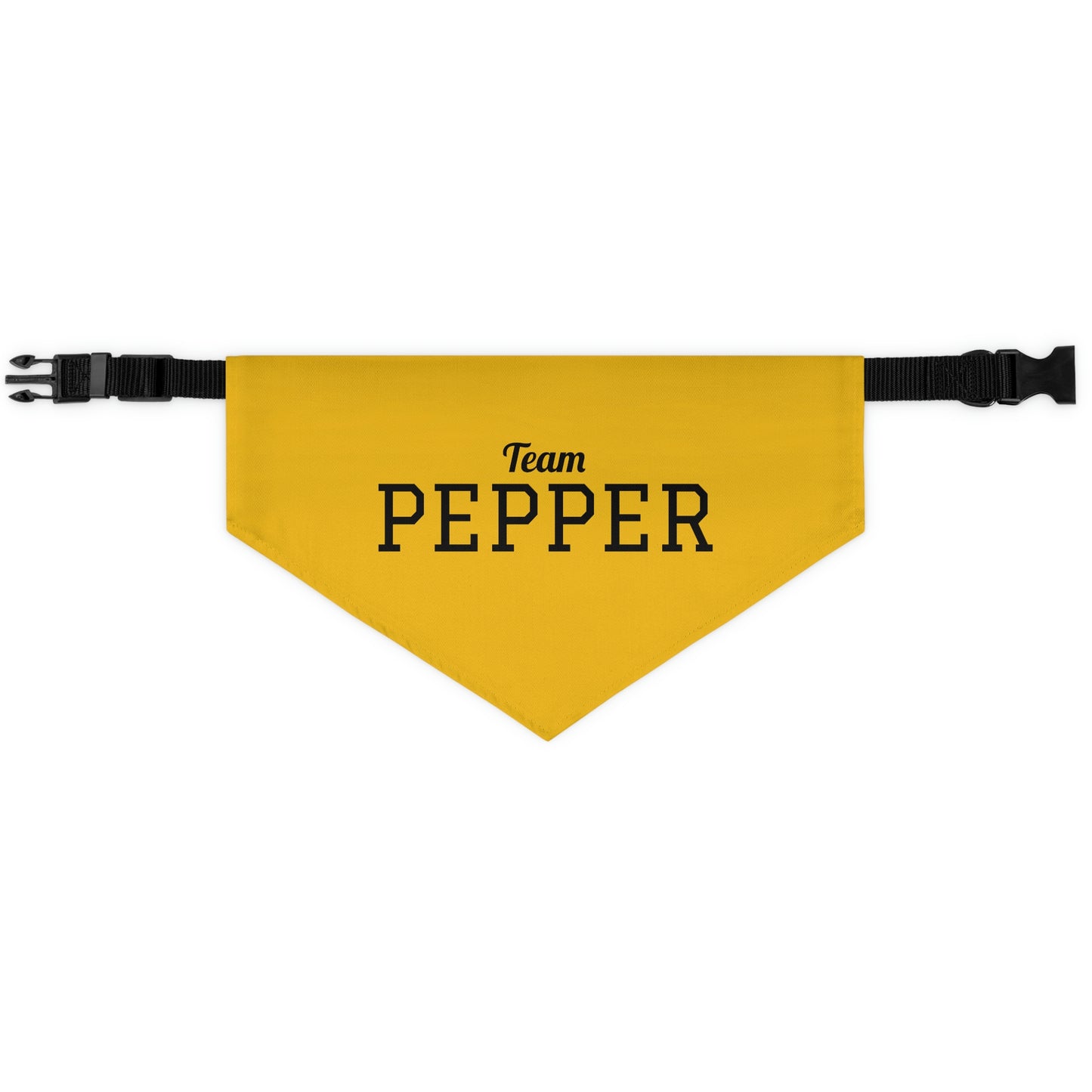 Personalized Pet Sports Team Bandana Collar