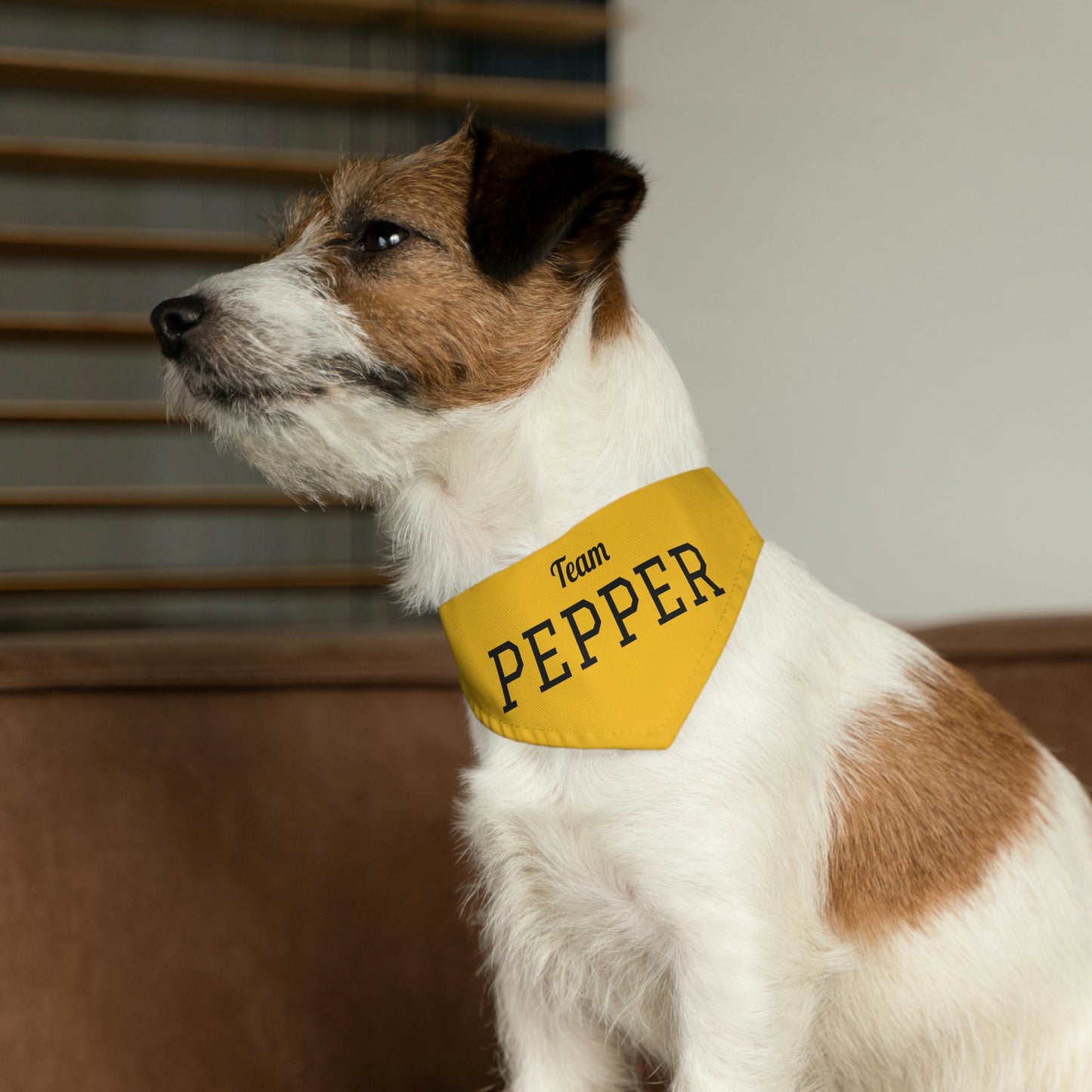Personalized Pet Sports Team Bandana Collar