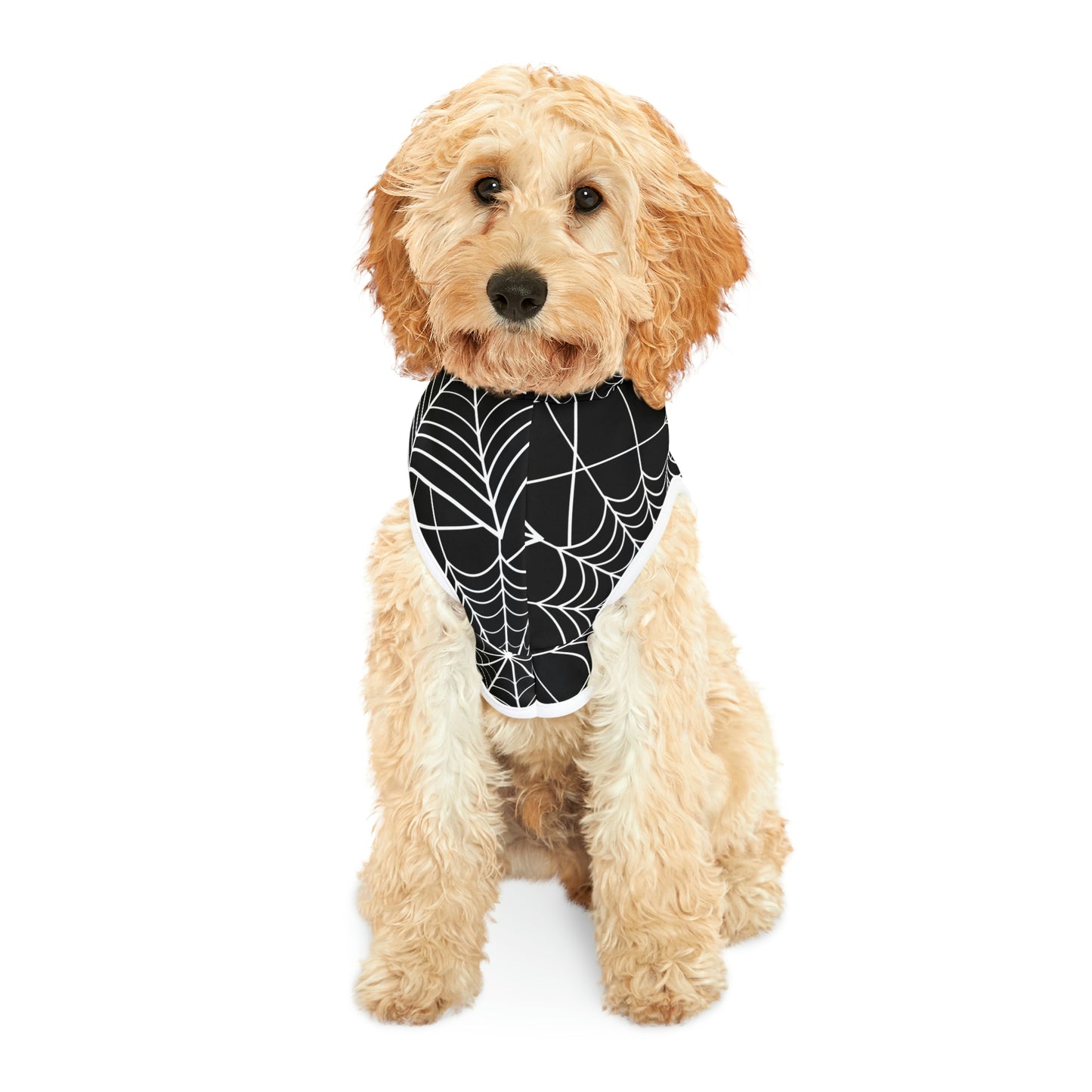 Personalized Goth Punk Spider Web Pet Hoodie