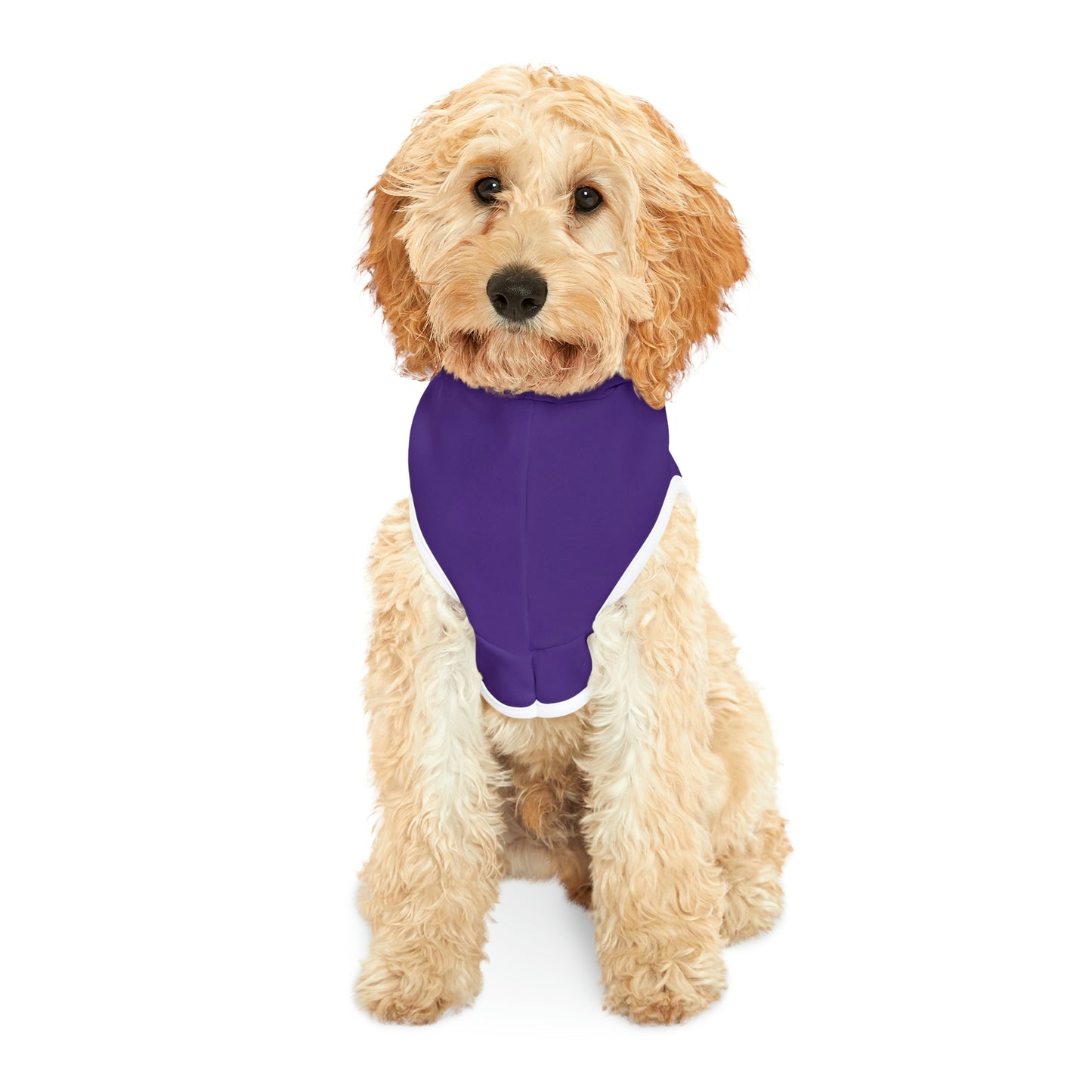 Personalized Minnesota Vikings Pet Hoodie