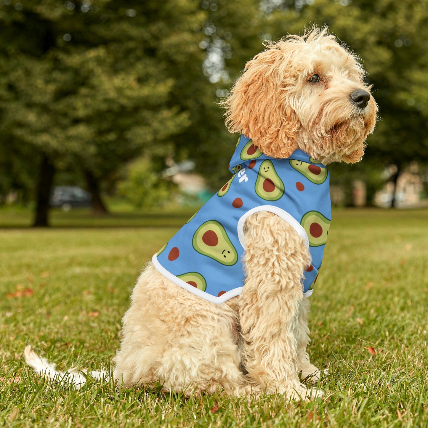 Personalized Pet Hoodie
