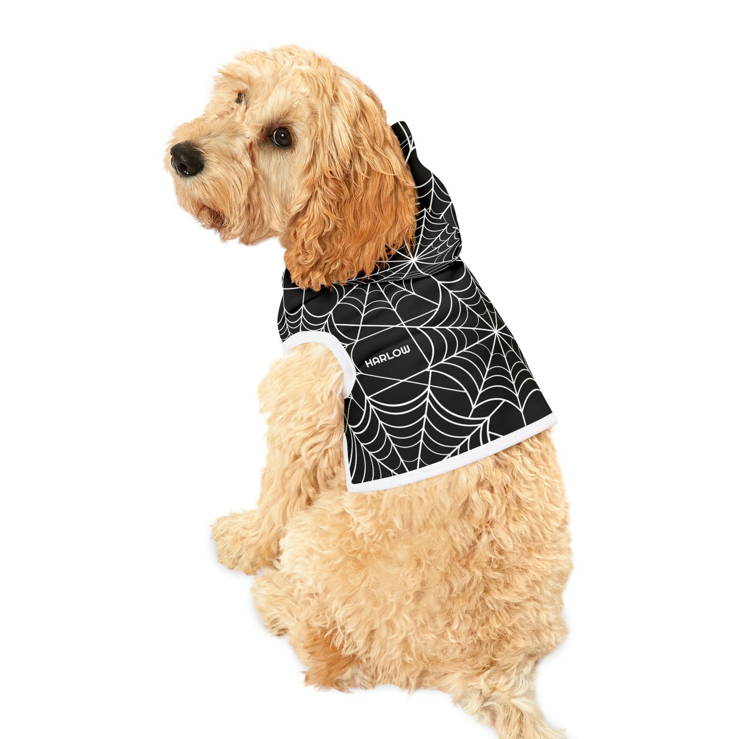 Personalized Goth Punk Spider Web Pet Hoodie