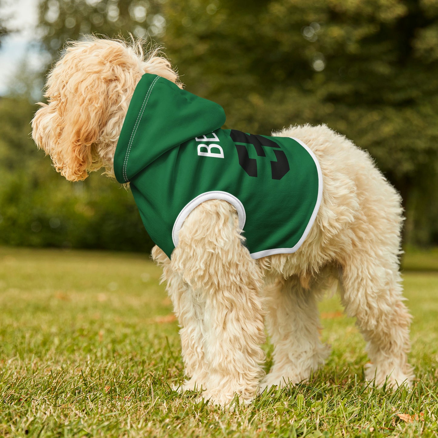 Personalized New York Jets Pet Hoodie