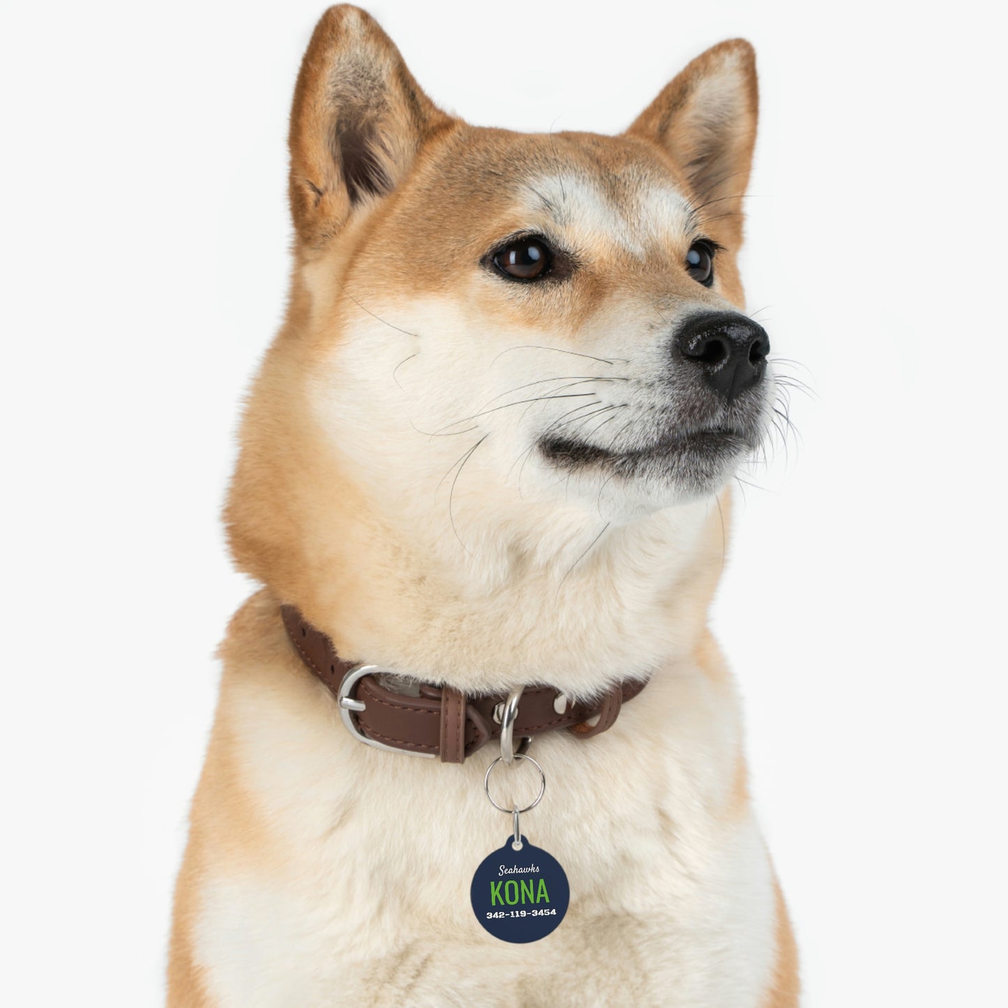 Personalized Seattle Seahawks Pet ID Tag