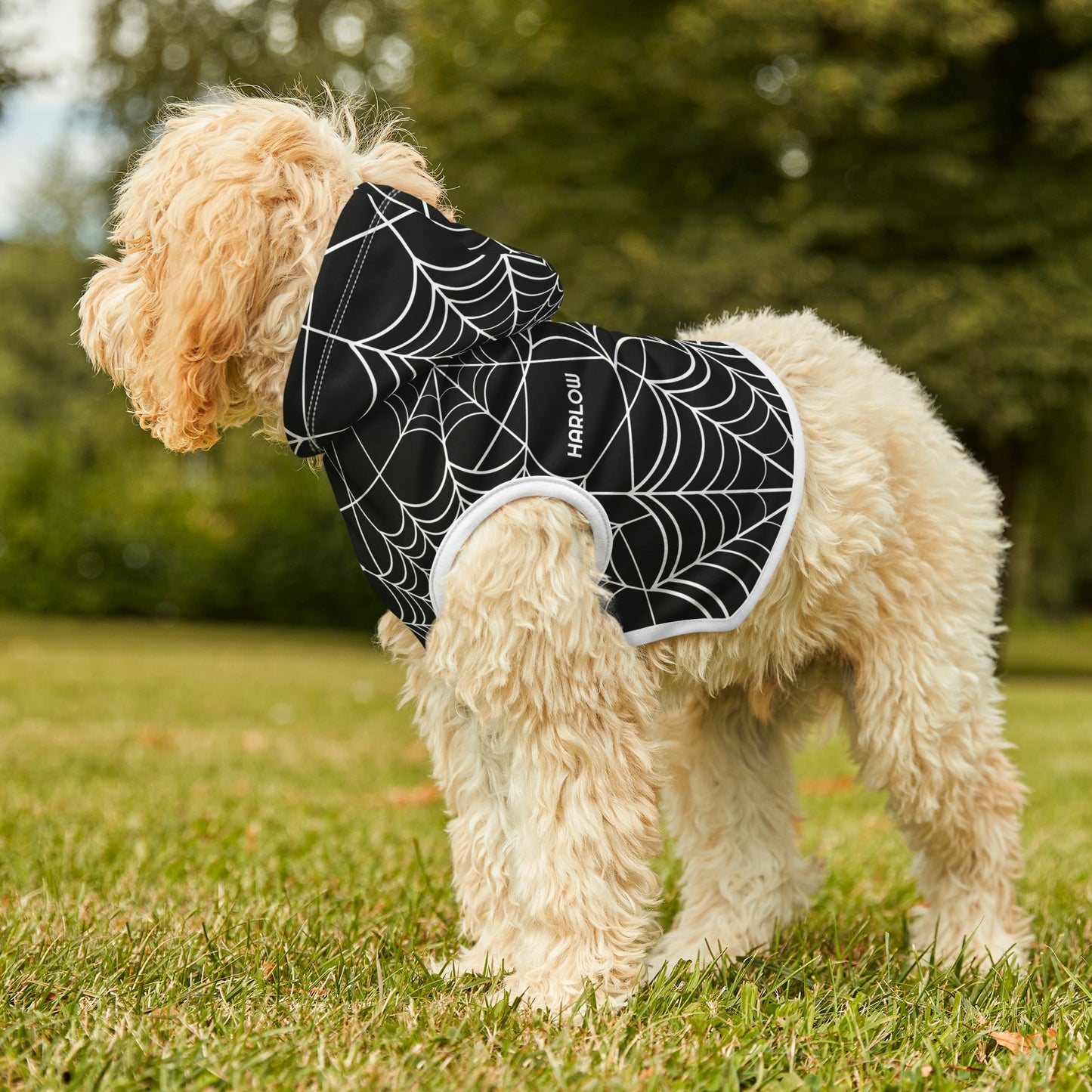 Personalized Goth Punk Spider Web Pet Hoodie