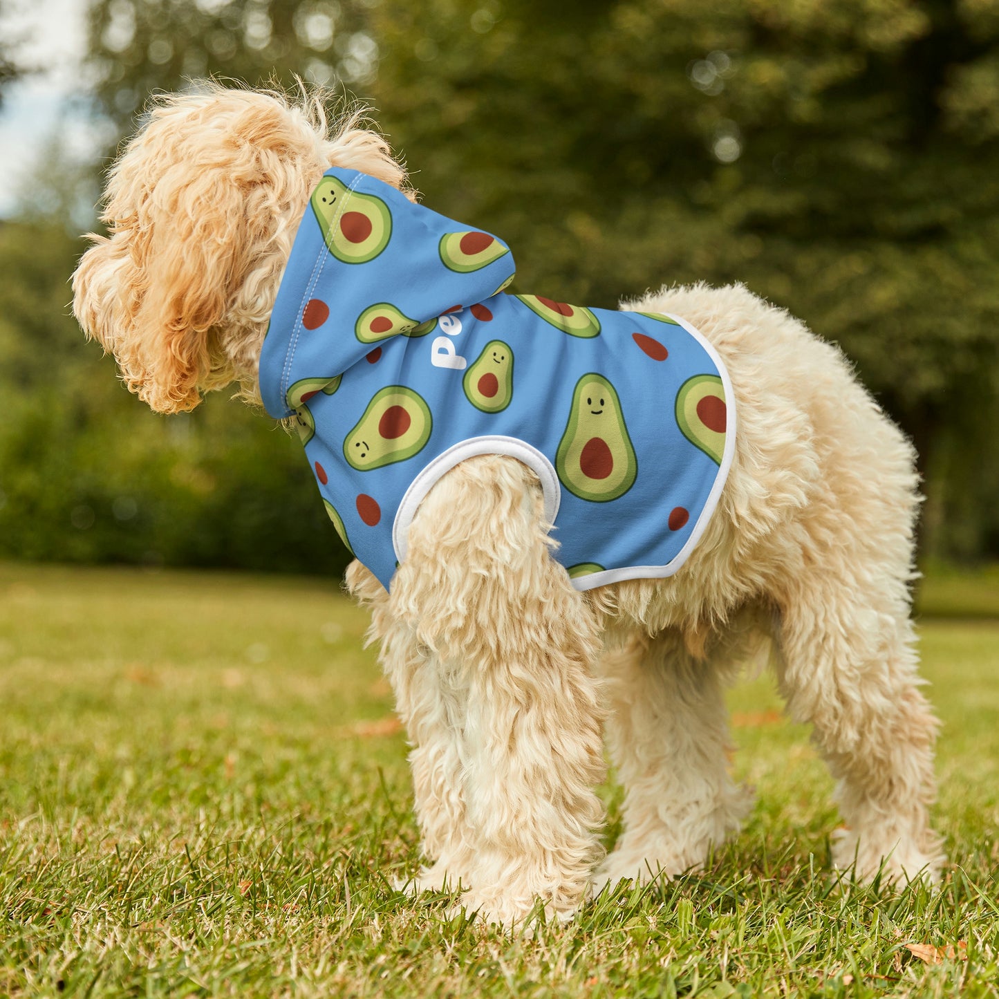 Personalized Pet Hoodie