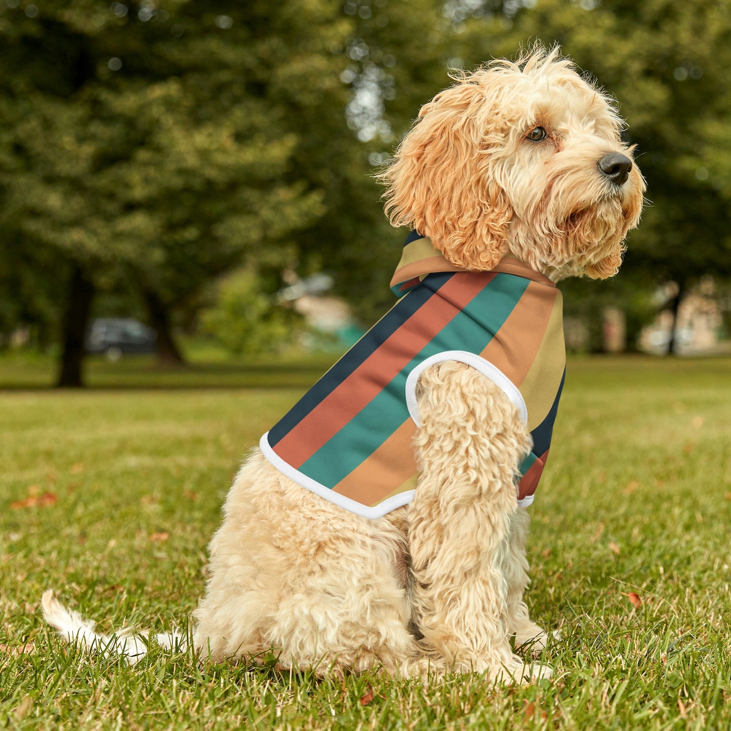 Personalized Classic Hot Air Balloon Stripe Pet Hoodie