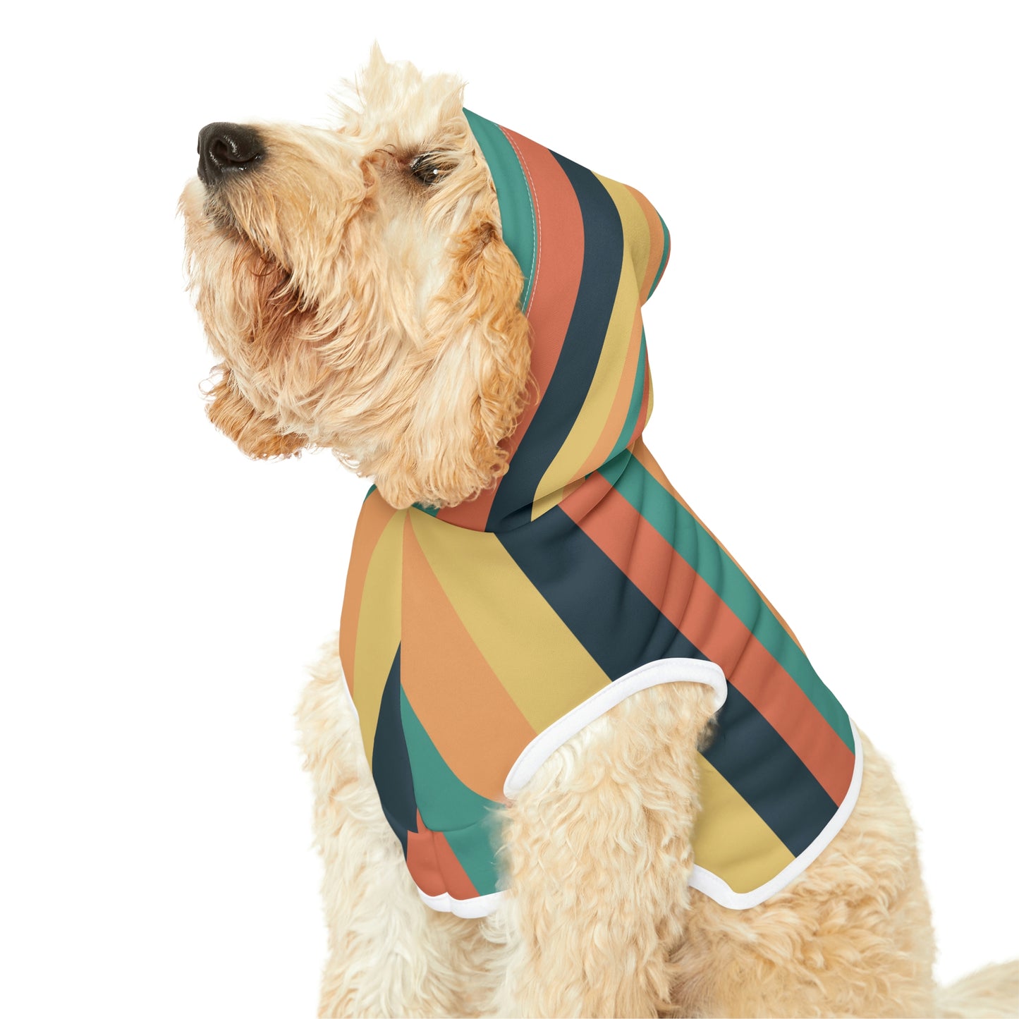Personalized Classic Hot Air Balloon Stripe Pet Hoodie