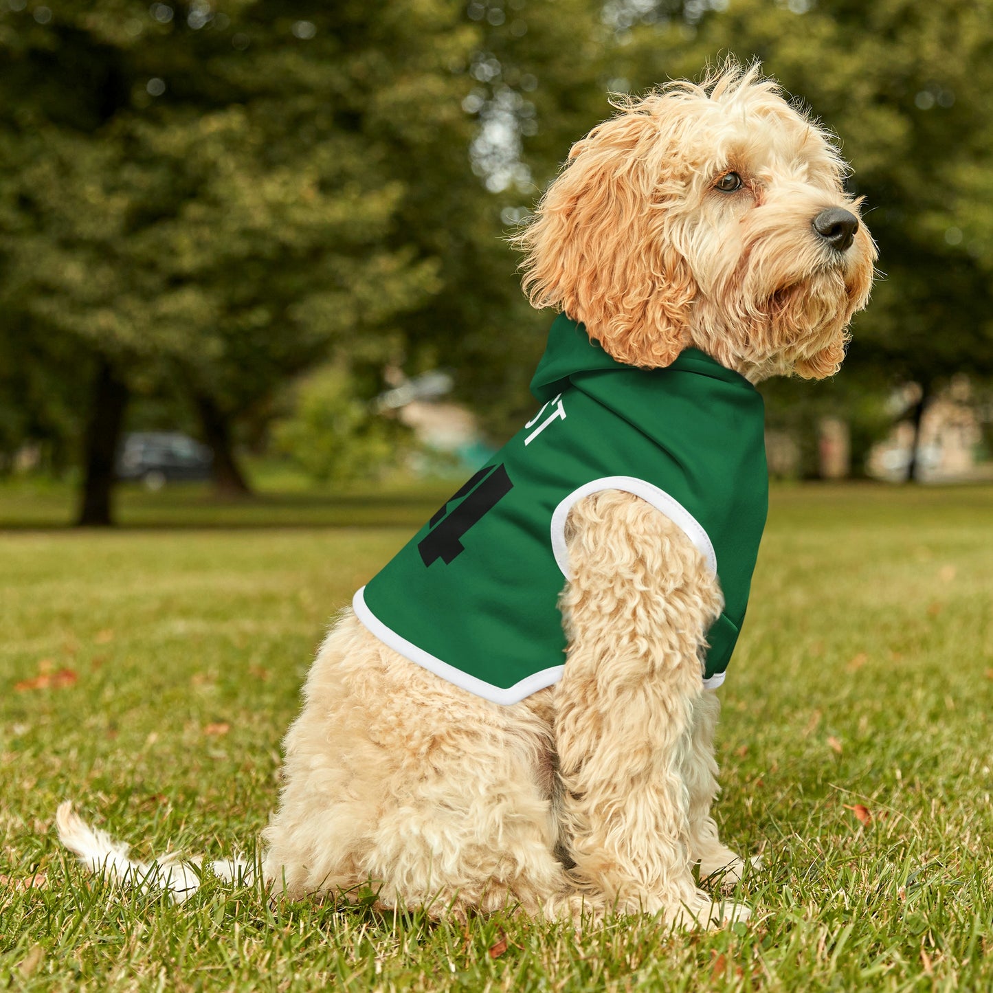 Personalized New York Jets Pet Hoodie