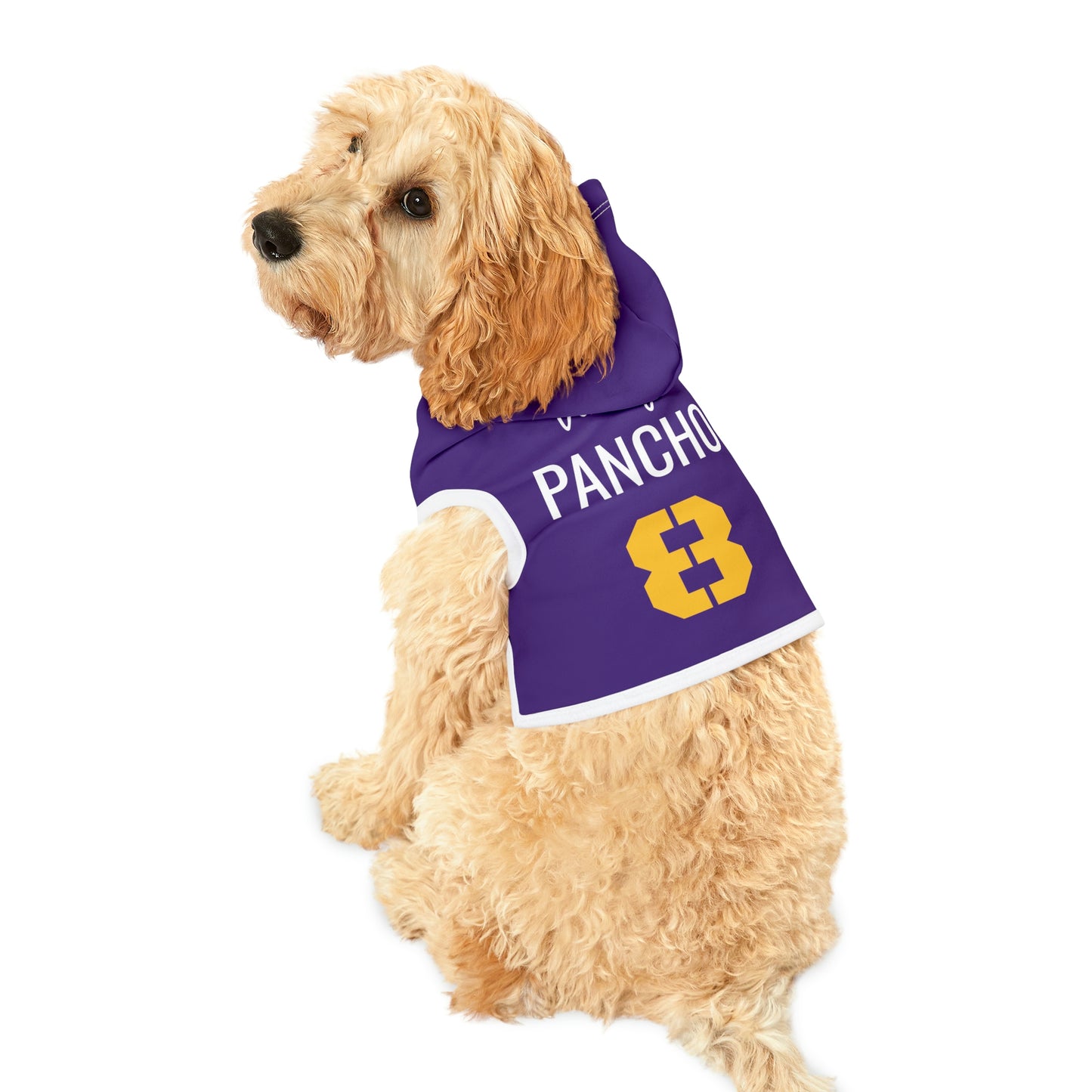 Personalized Minnesota Vikings Pet Hoodie