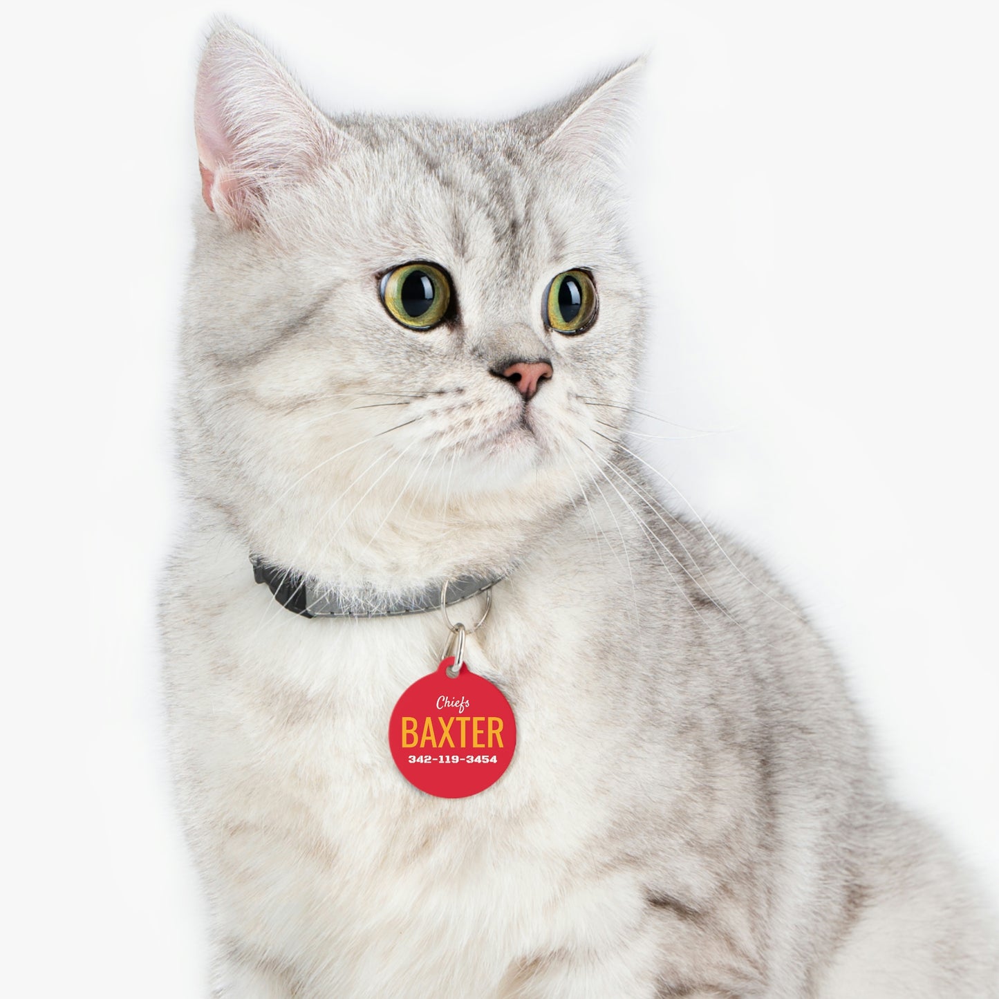Personalized Kansas City Chiefs Pet ID Tag