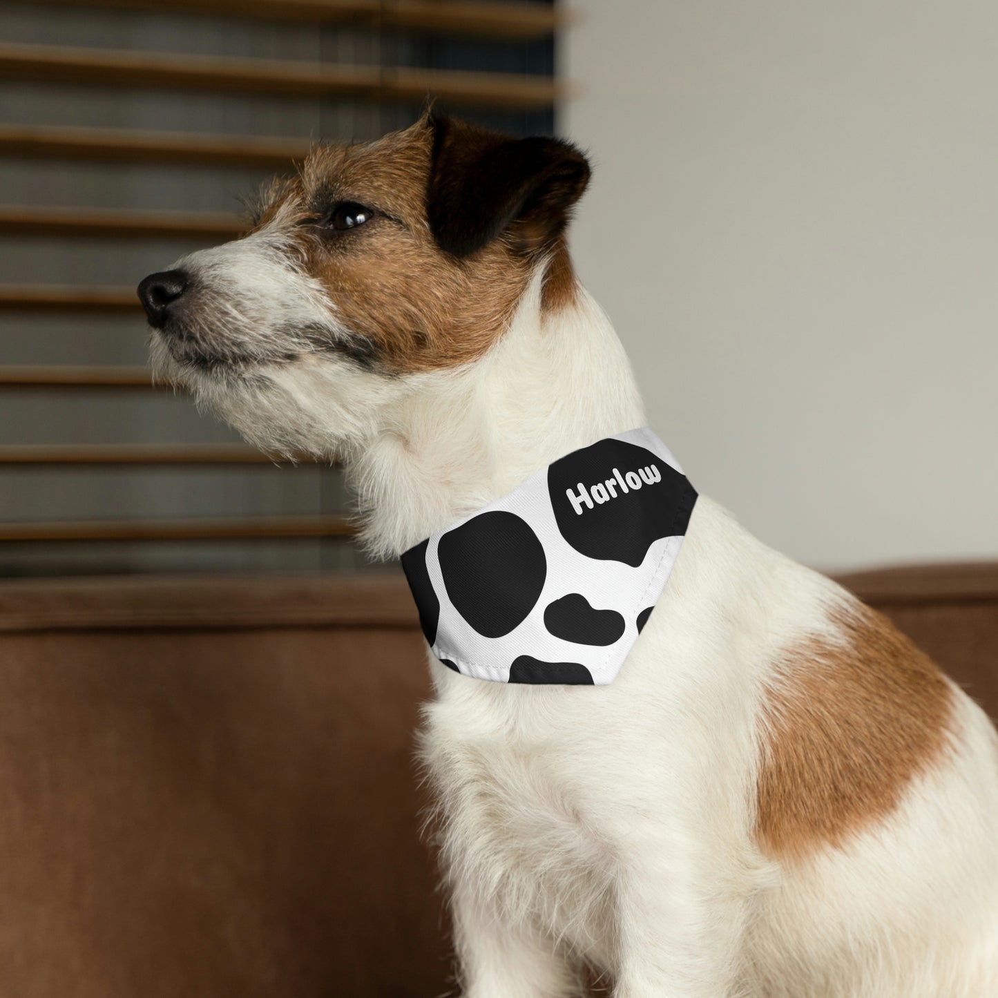 Personalized Western Boho Cow Print Pet Bandana Collar