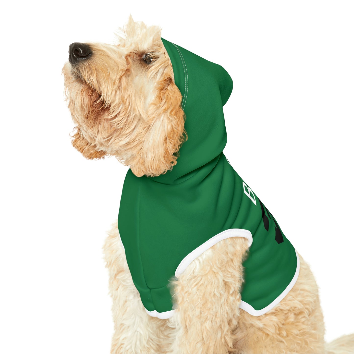 Personalized New York Jets Pet Hoodie