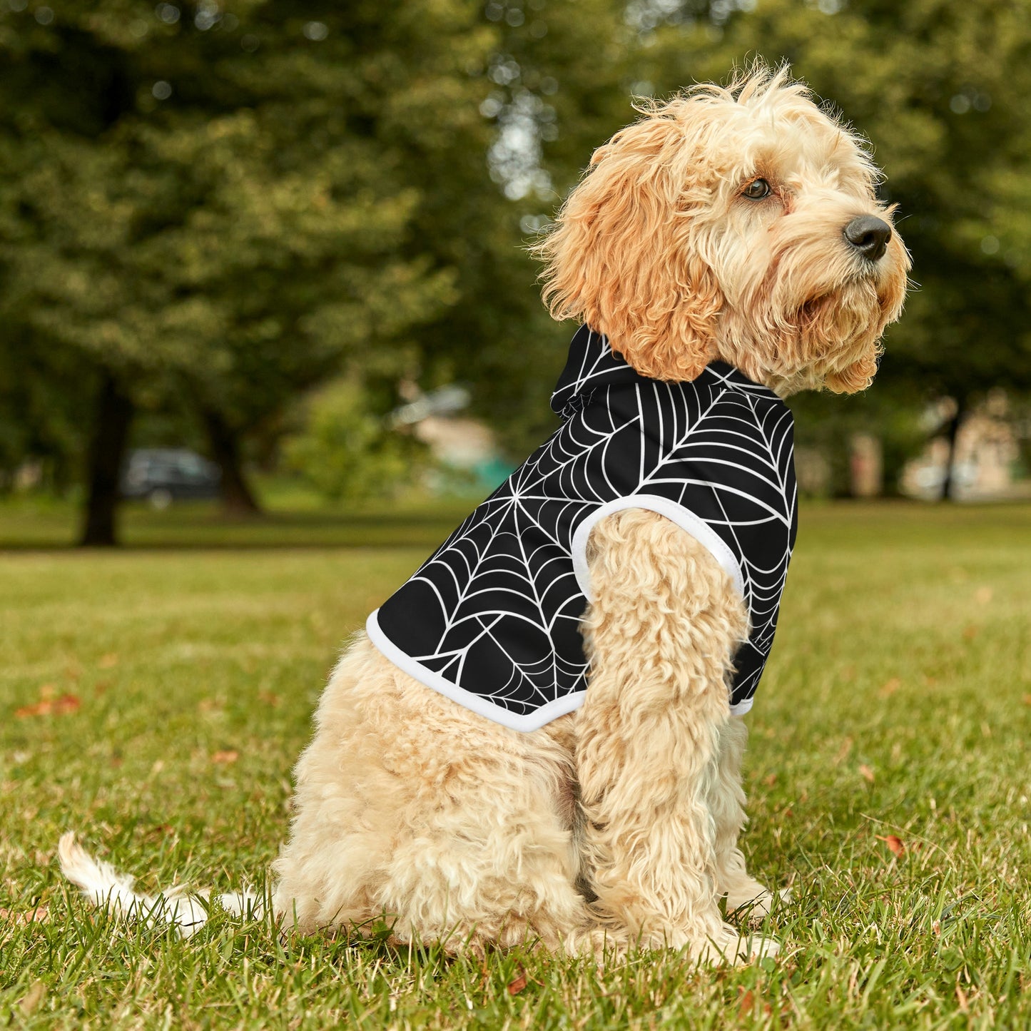 Personalized Goth Punk Spider Web Pet Hoodie