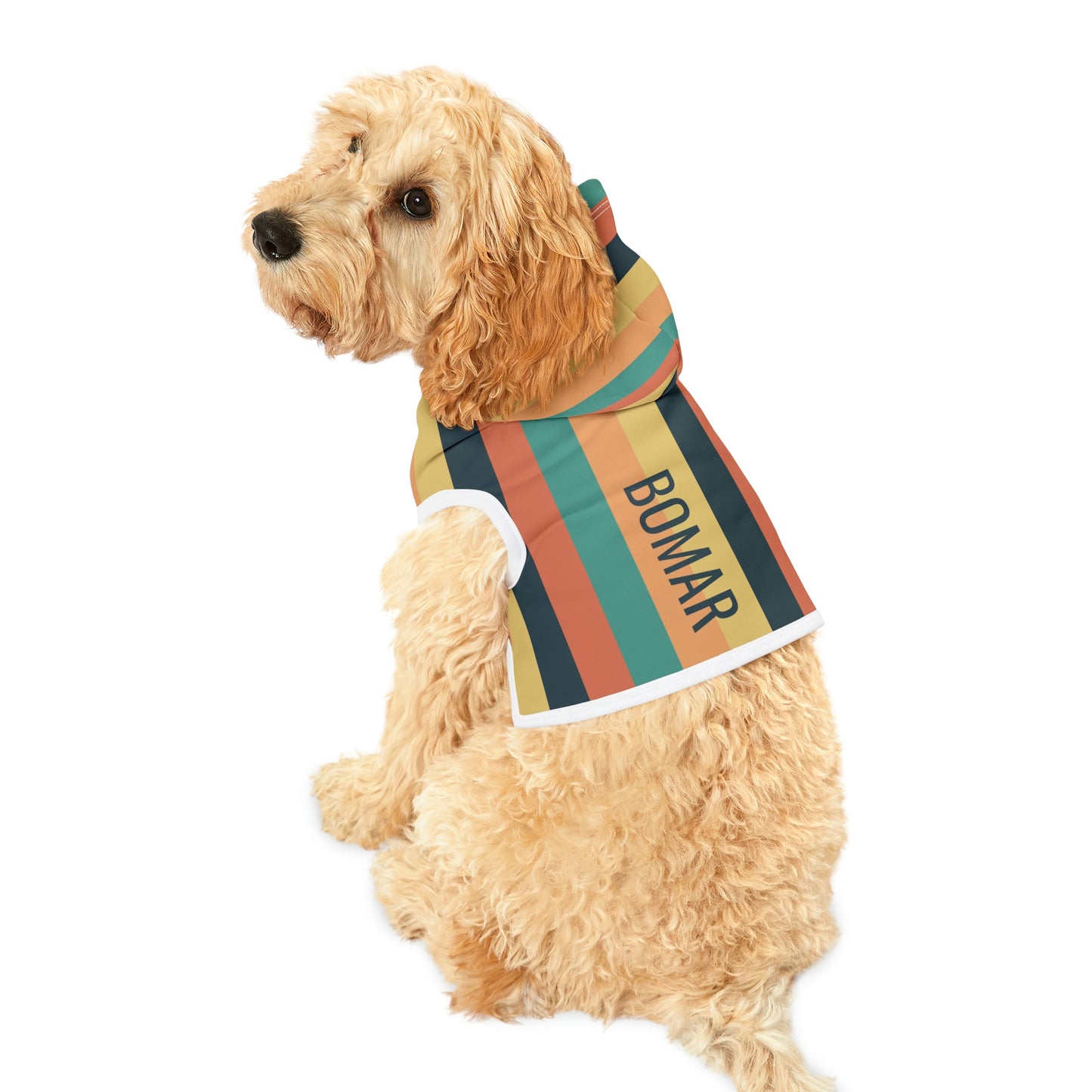 Personalized Classic Hot Air Balloon Stripe Pet Hoodie