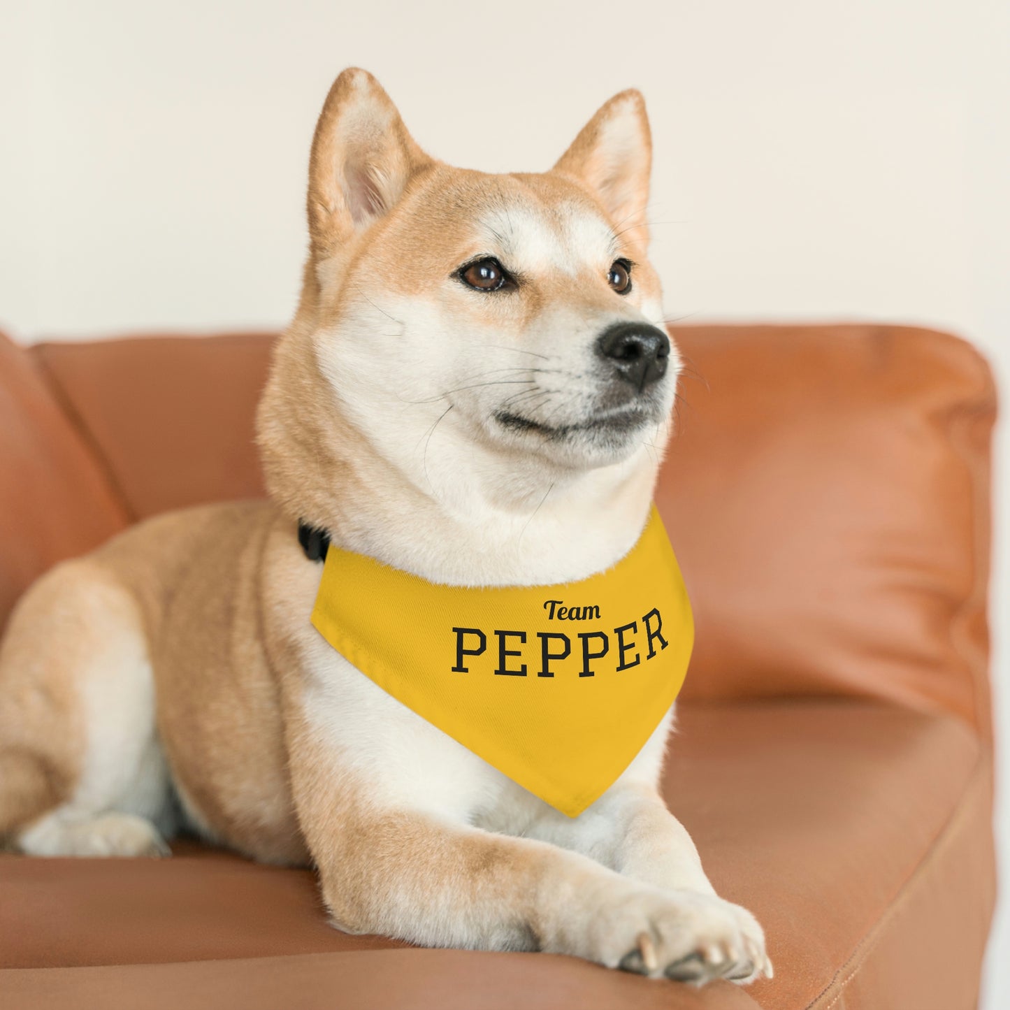 Personalized Pet Sports Team Bandana Collar