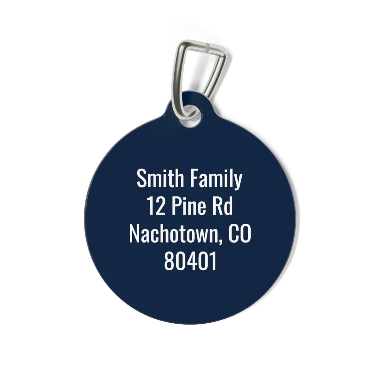 Personalized Seattle Seahawks Pet ID Tag