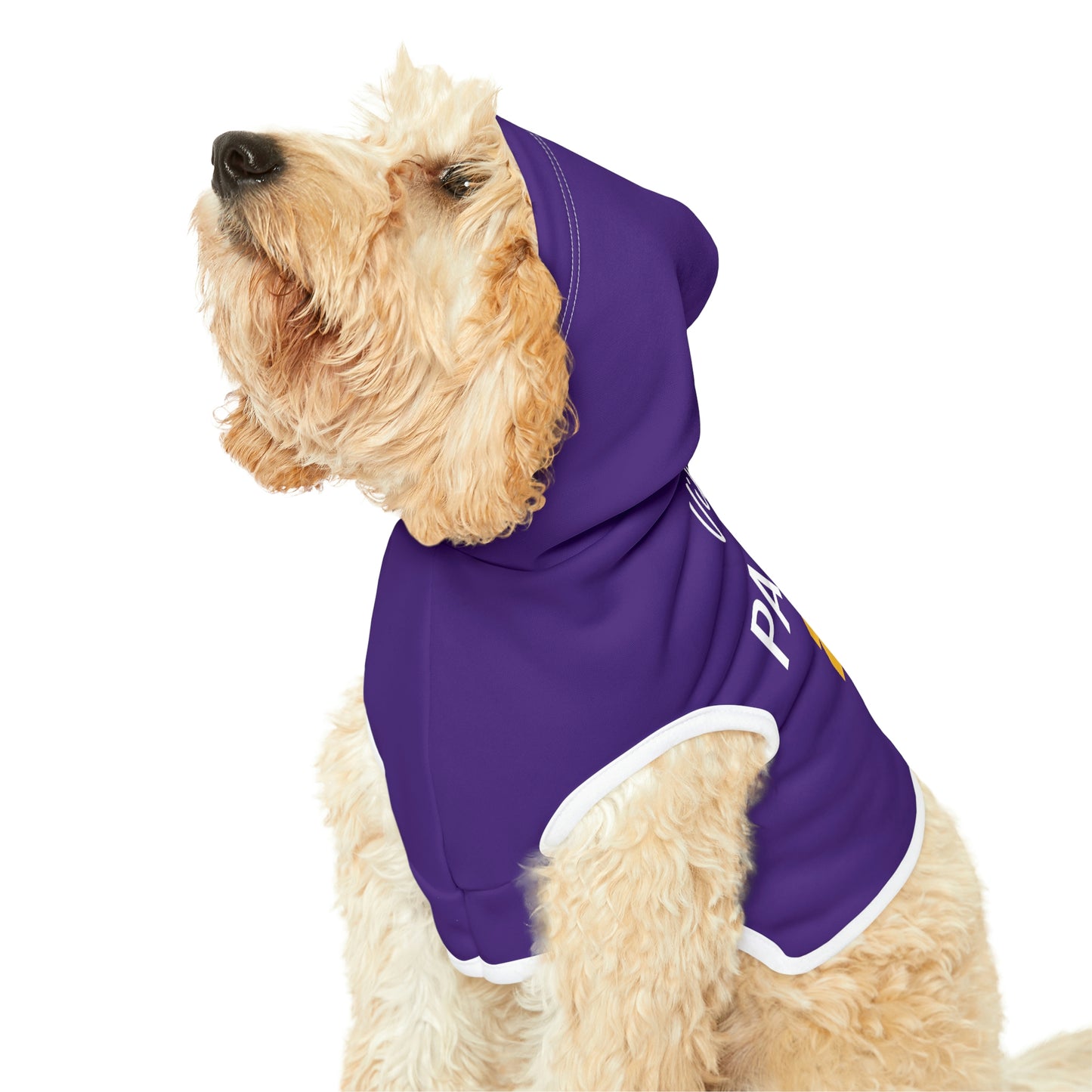 Personalized Minnesota Vikings Pet Hoodie