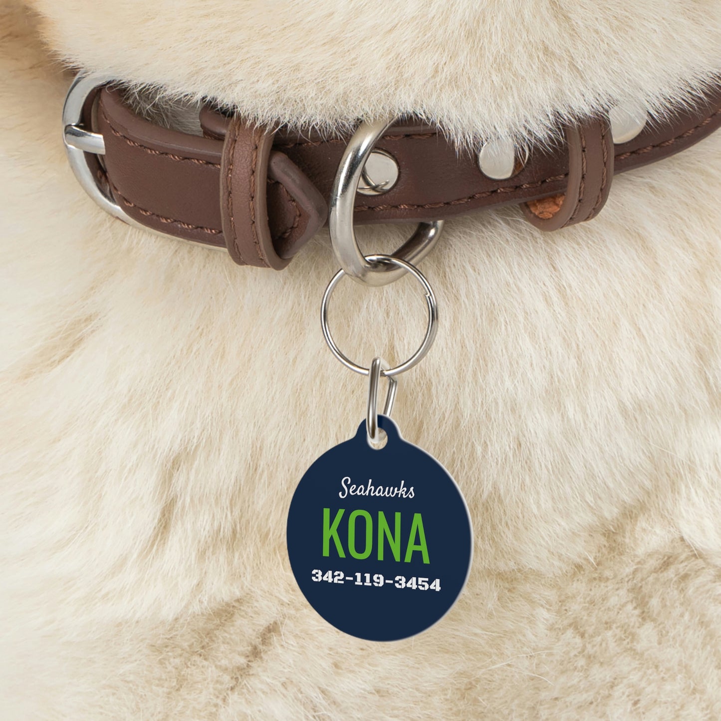 Personalized Seattle Seahawks Pet ID Tag
