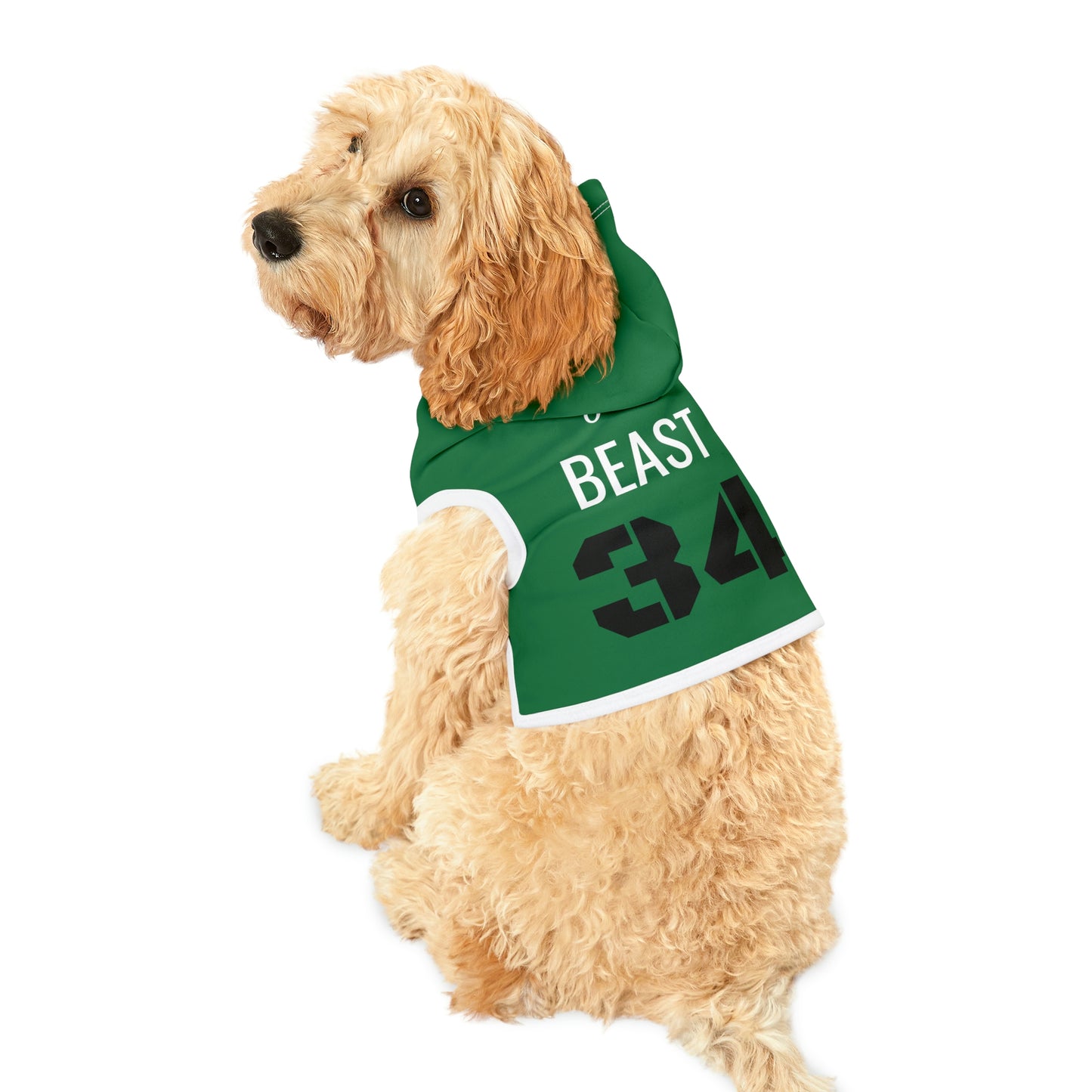 Personalized New York Jets Pet Hoodie