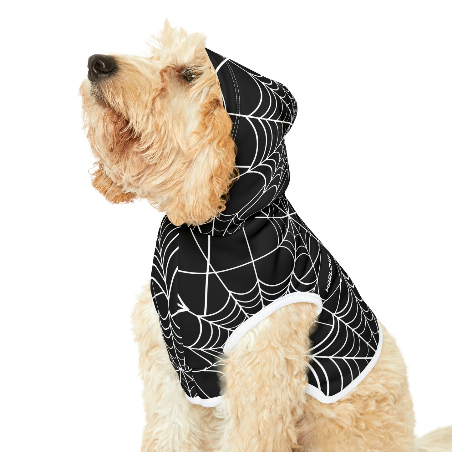 Personalized Goth Punk Spider Web Pet Hoodie