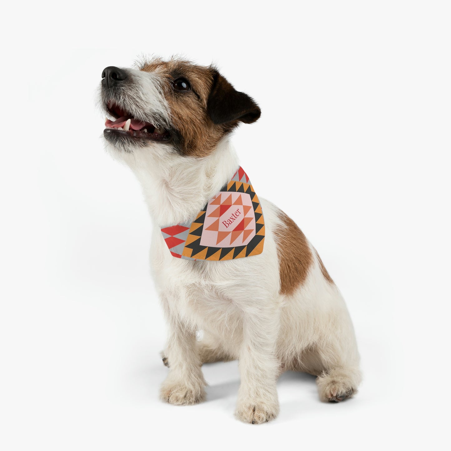 Personalized Western Boho Dusty Rose Pet Bandana Collar