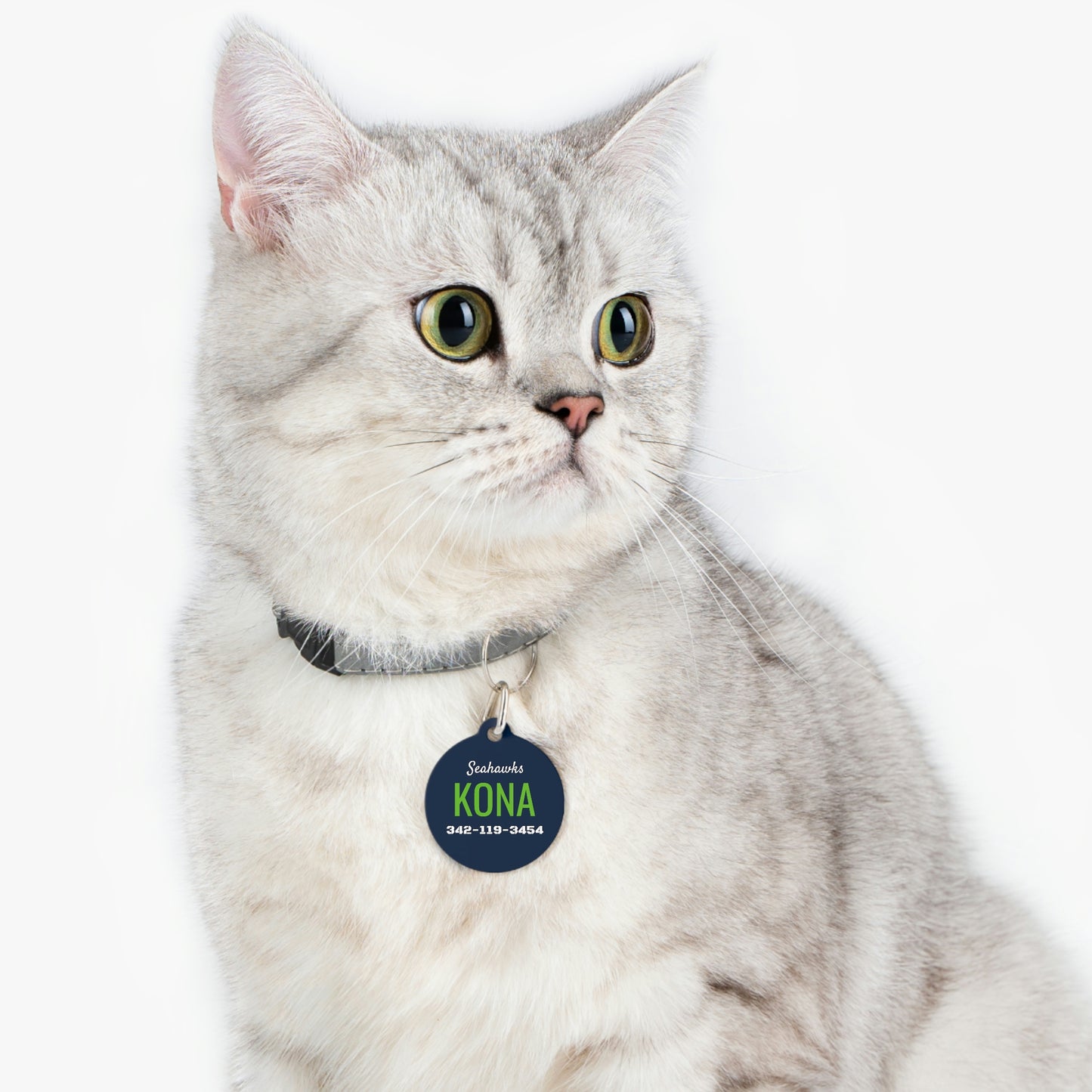 Personalized Seattle Seahawks Pet ID Tag