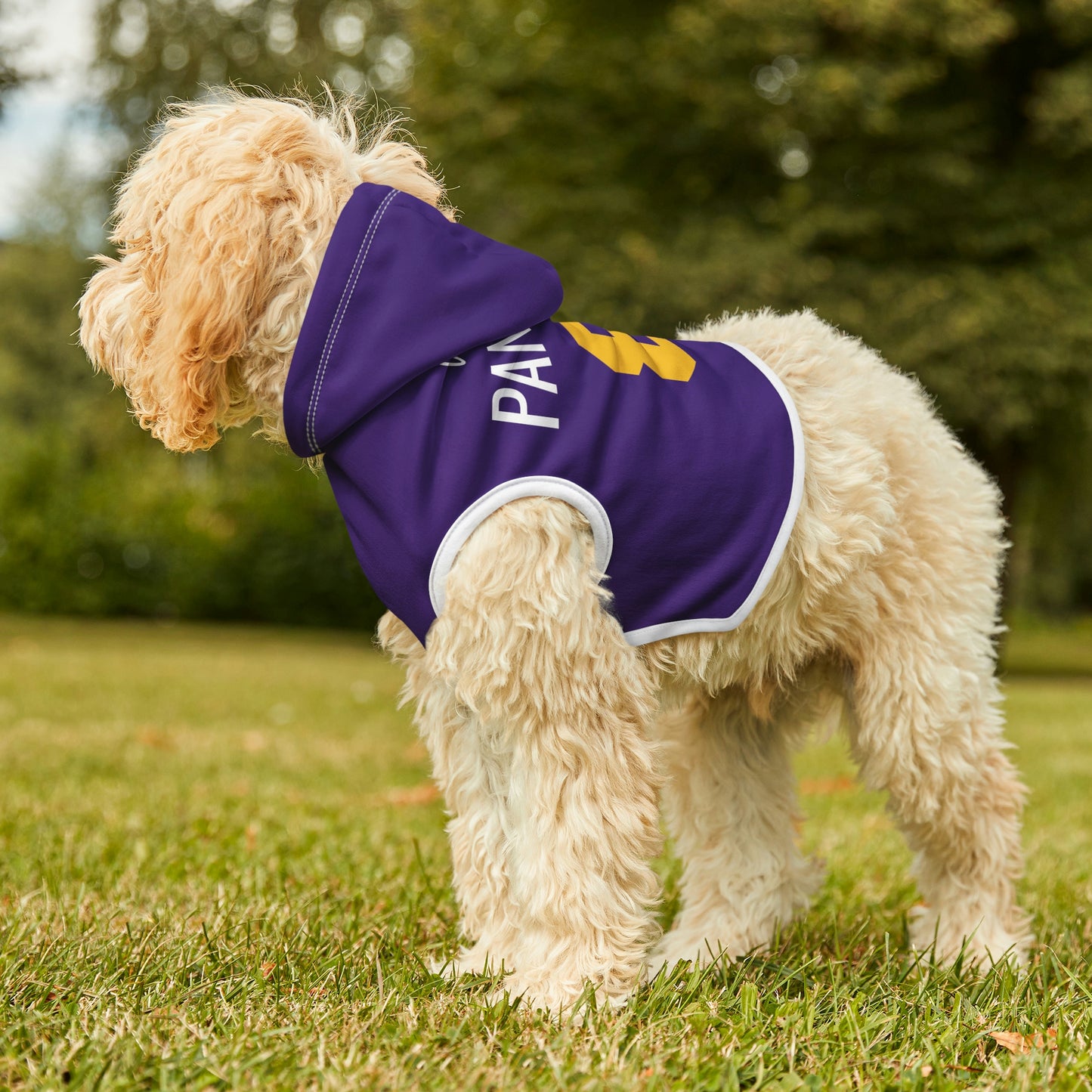 Personalized Minnesota Vikings Pet Hoodie