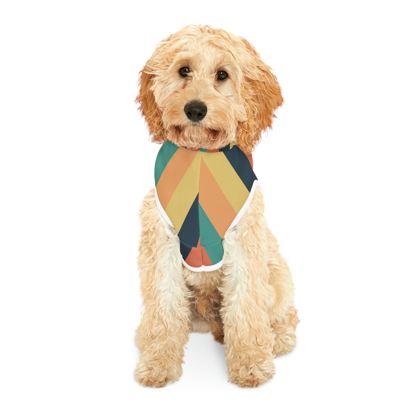Personalized Classic Hot Air Balloon Stripe Pet Hoodie