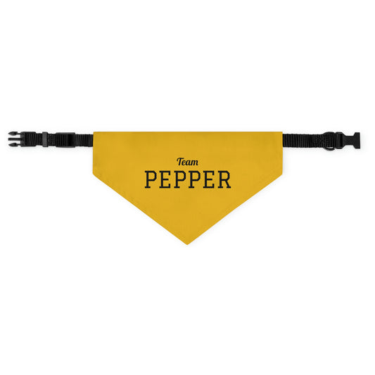 Personalized Pet Sports Team Bandana Collar