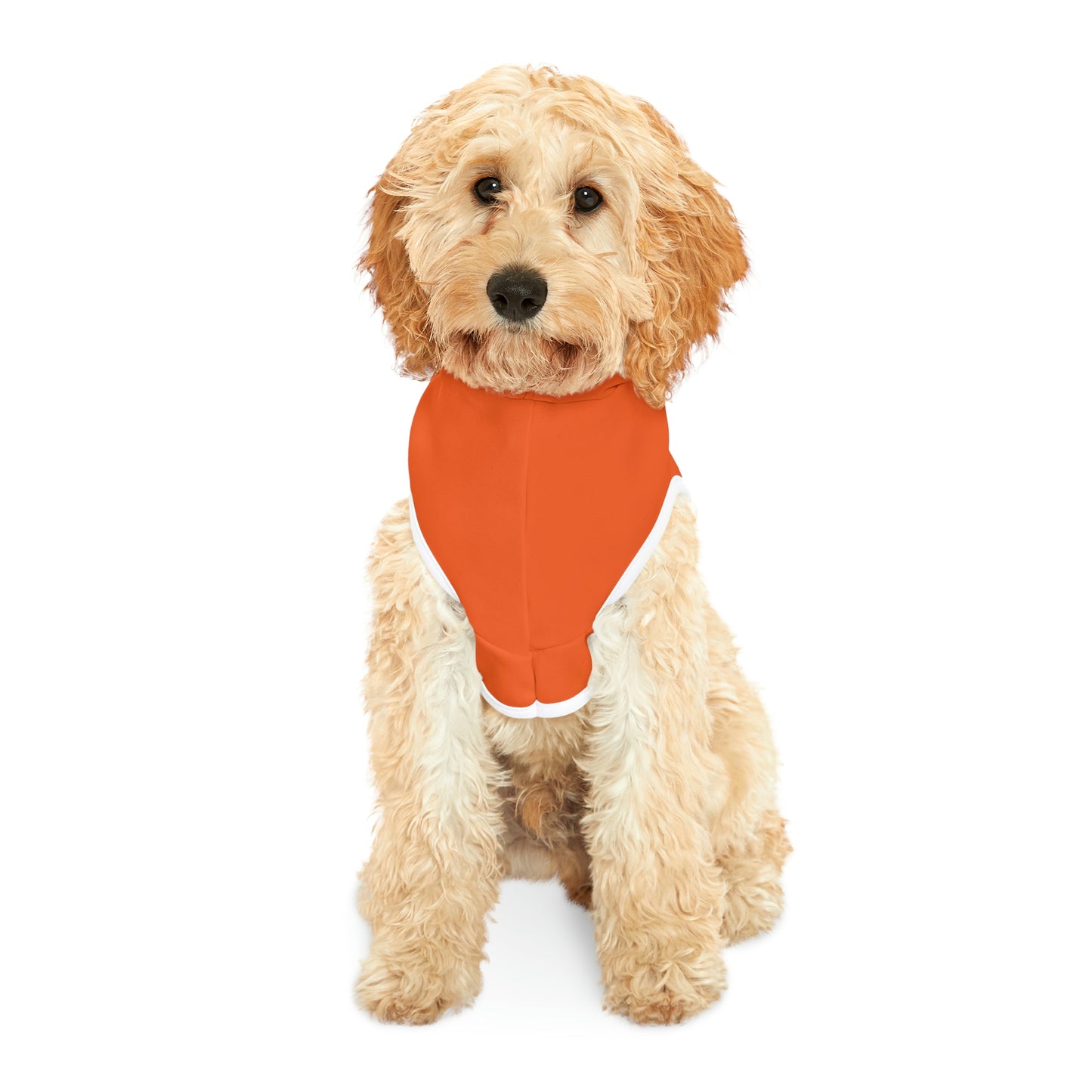 Personalized Denver Broncos Pet Hoodie