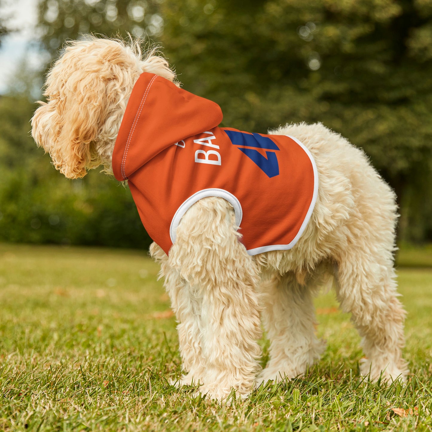 Personalized Denver Broncos Pet Hoodie