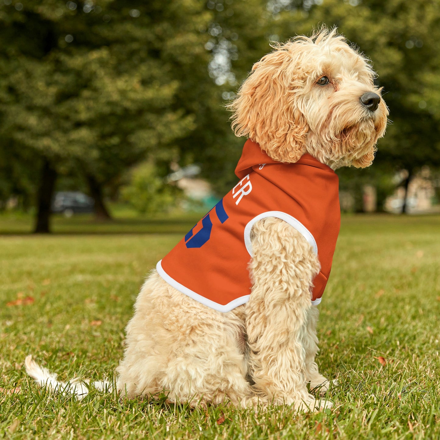 Personalized Denver Broncos Pet Hoodie