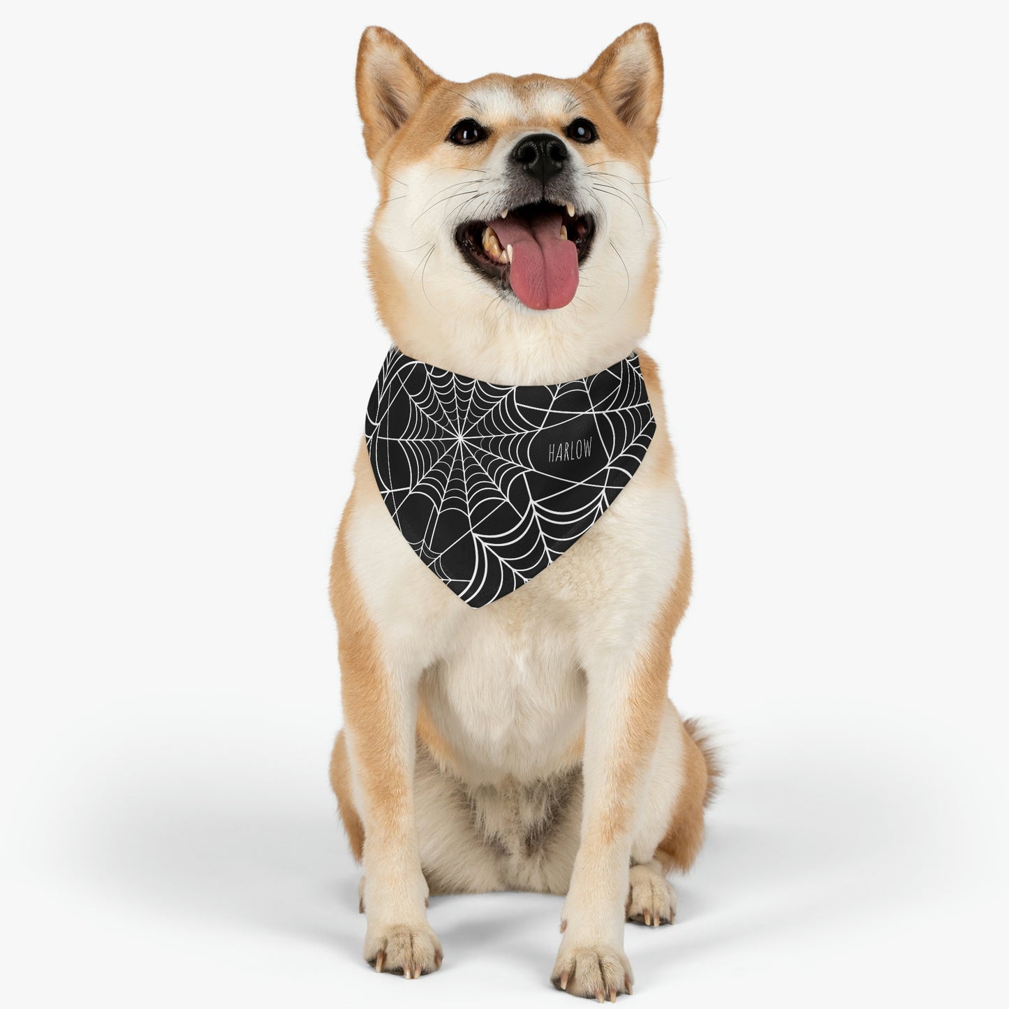 Personalized Goth Punk Spider Web Pet Bandana Collar