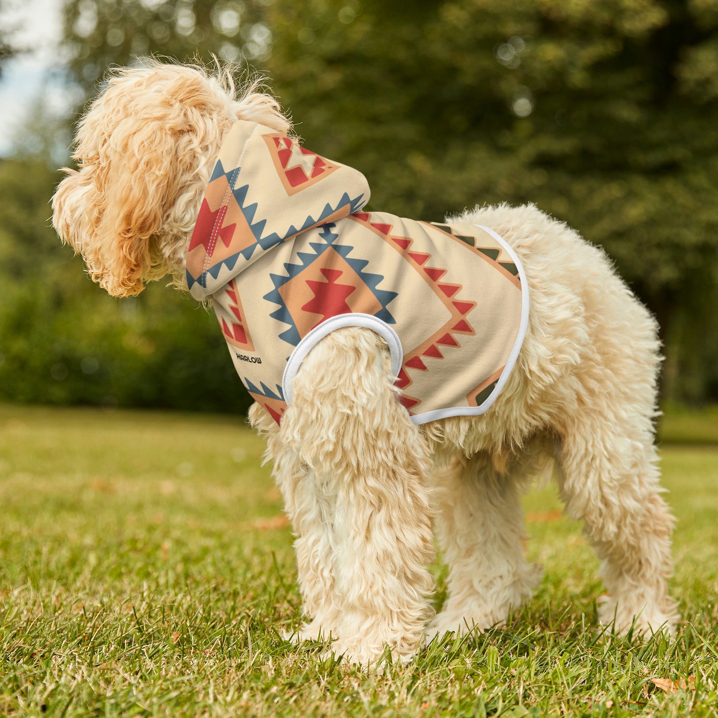 Personalized Western Boho Tan Pet Hoodie