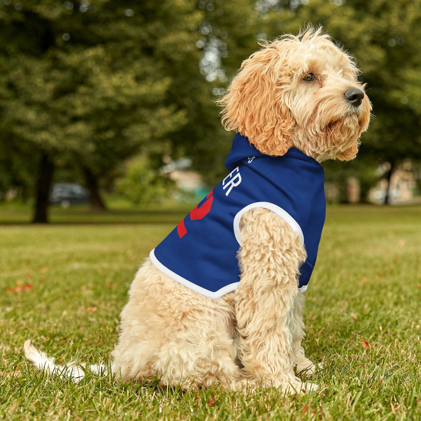 Personalized New England Patriots Pet Hoodie