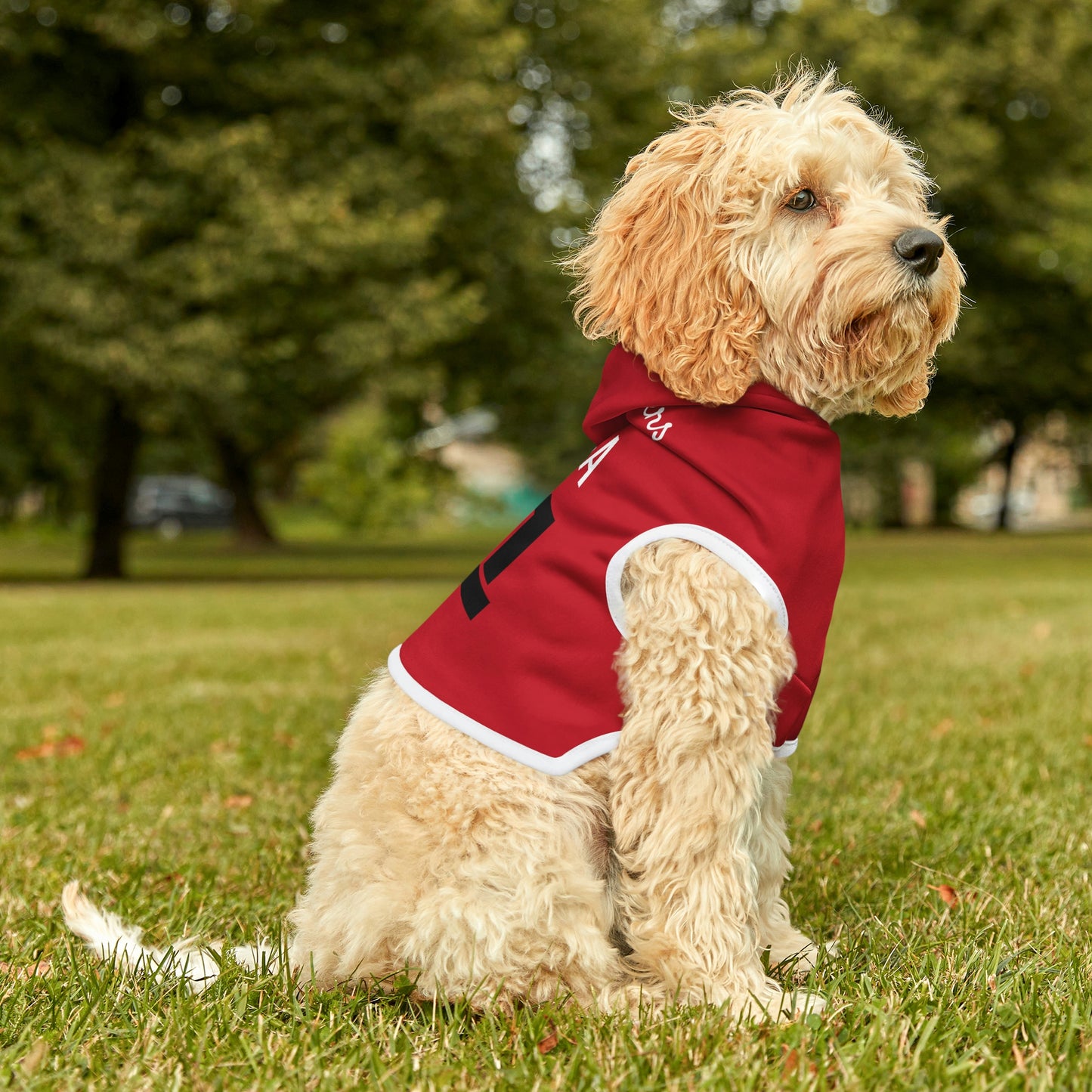 Personalized Tampa Bay Buccaneers Pet Hoodie