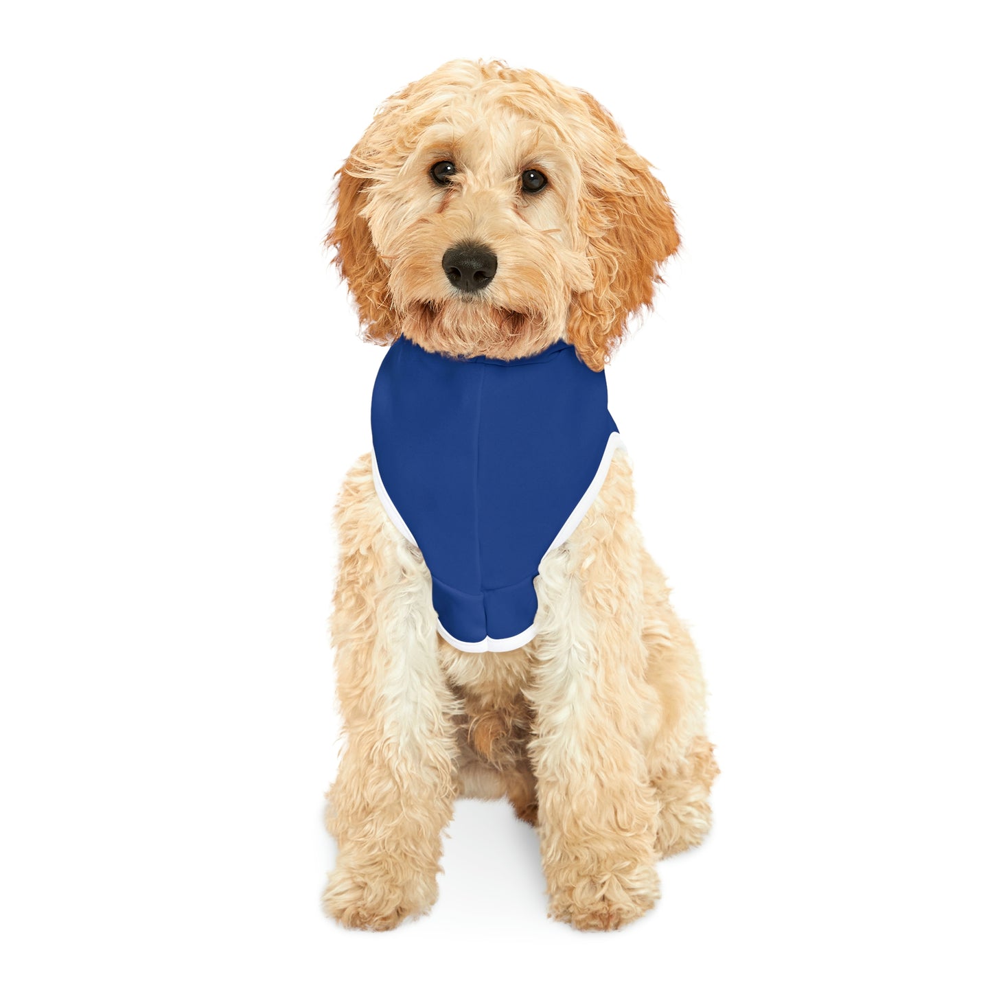 Personalized New England Patriots Pet Hoodie