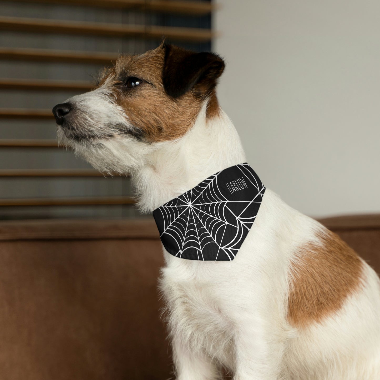 Personalized Goth Punk Spider Web Pet Bandana Collar