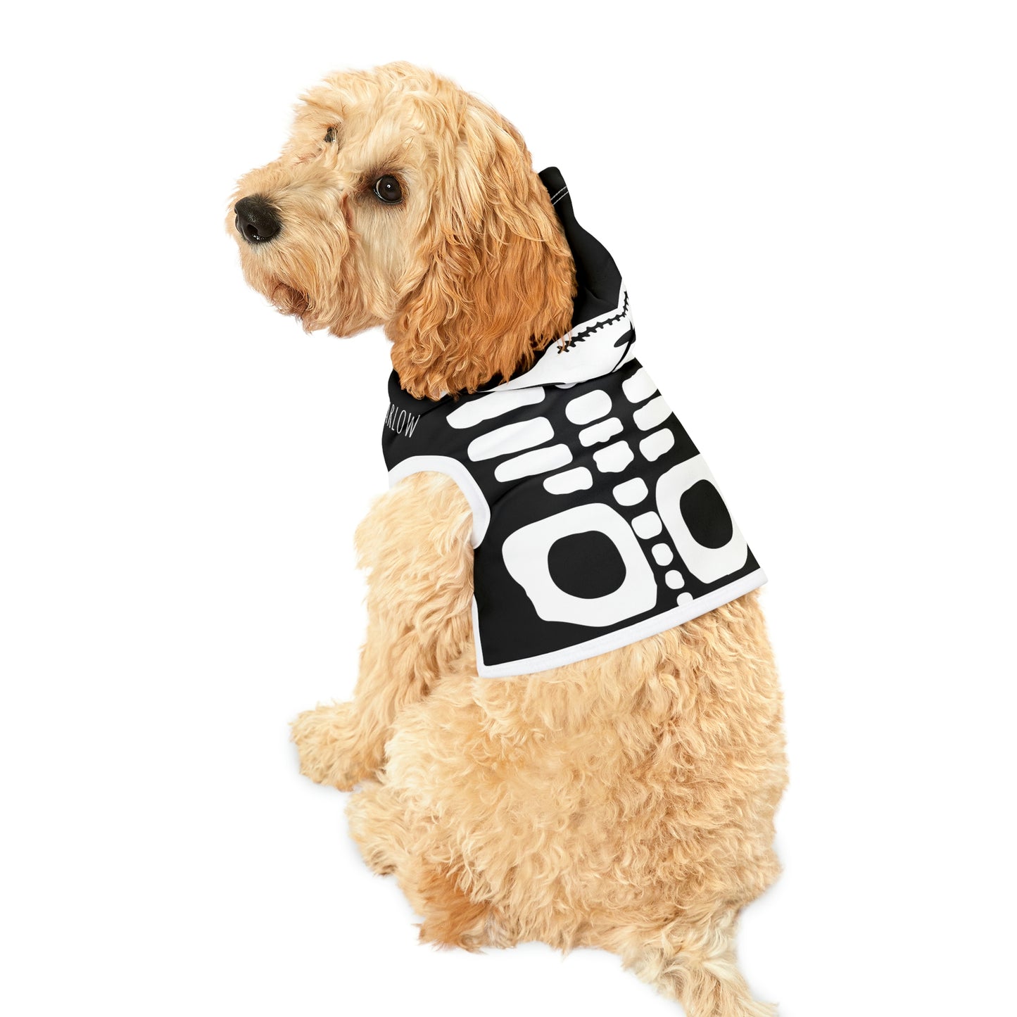 Personalized Goth Punk Skeleton Pet Hoodie