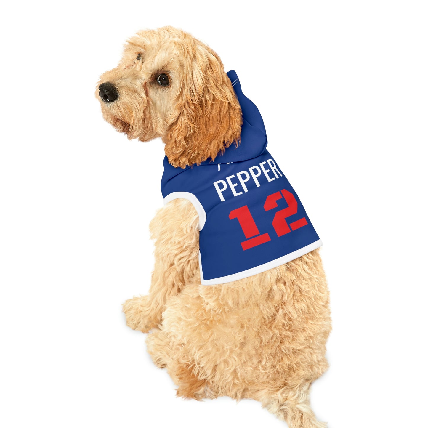 Personalized New England Patriots Pet Hoodie