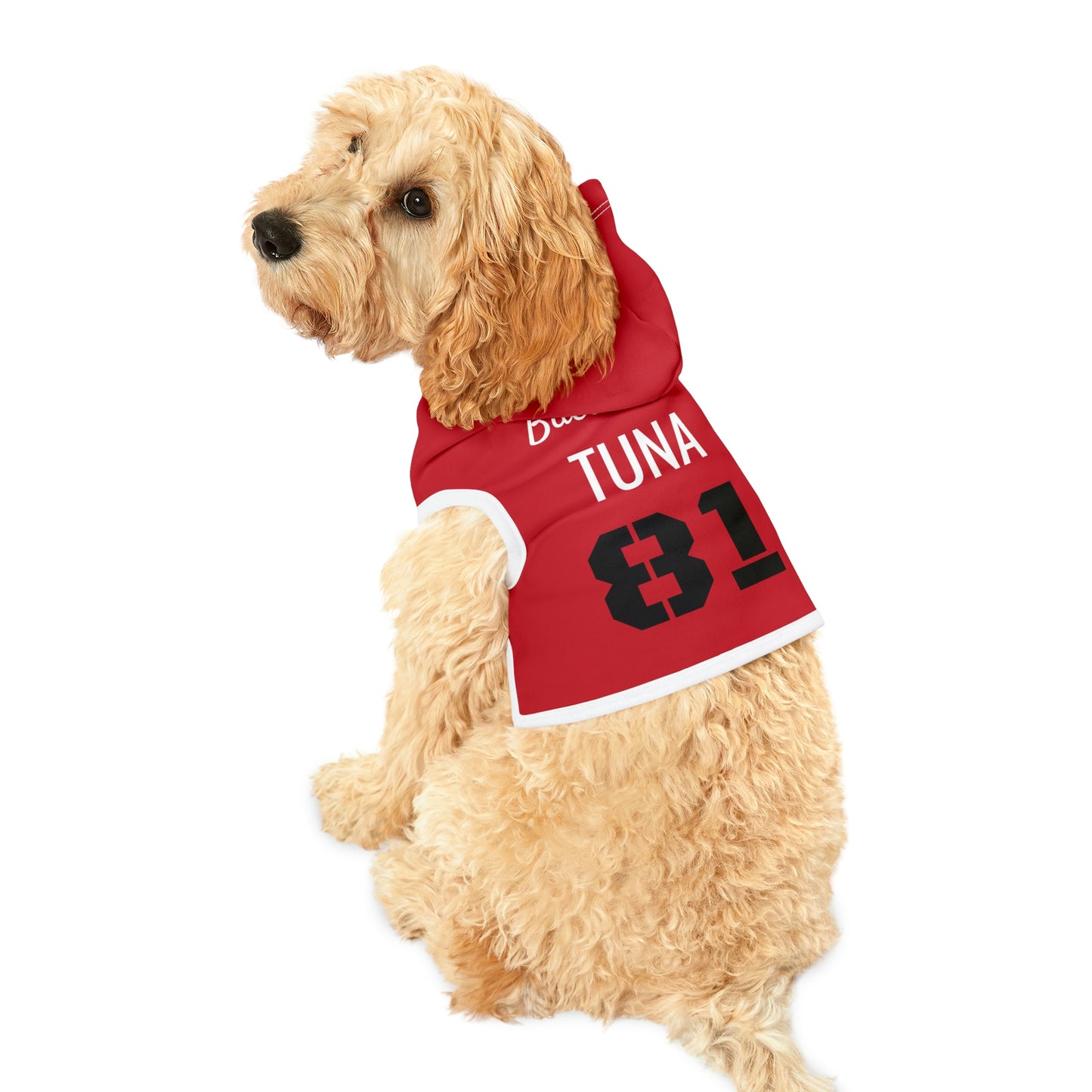 Personalized Tampa Bay Buccaneers Pet Hoodie