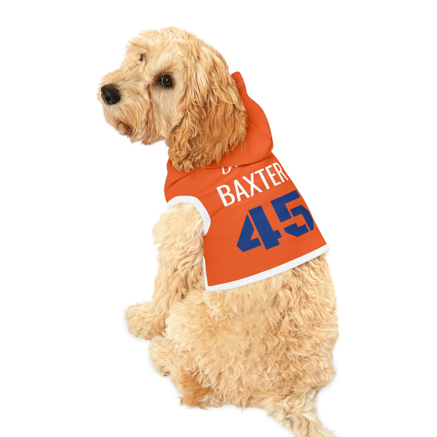 Personalized Denver Broncos Pet Hoodie