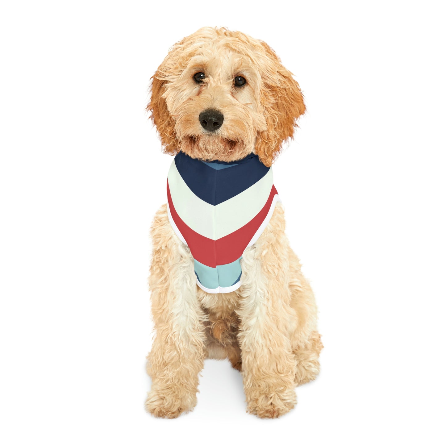 Personalized Classic Americana Stripe Pet Hoodie