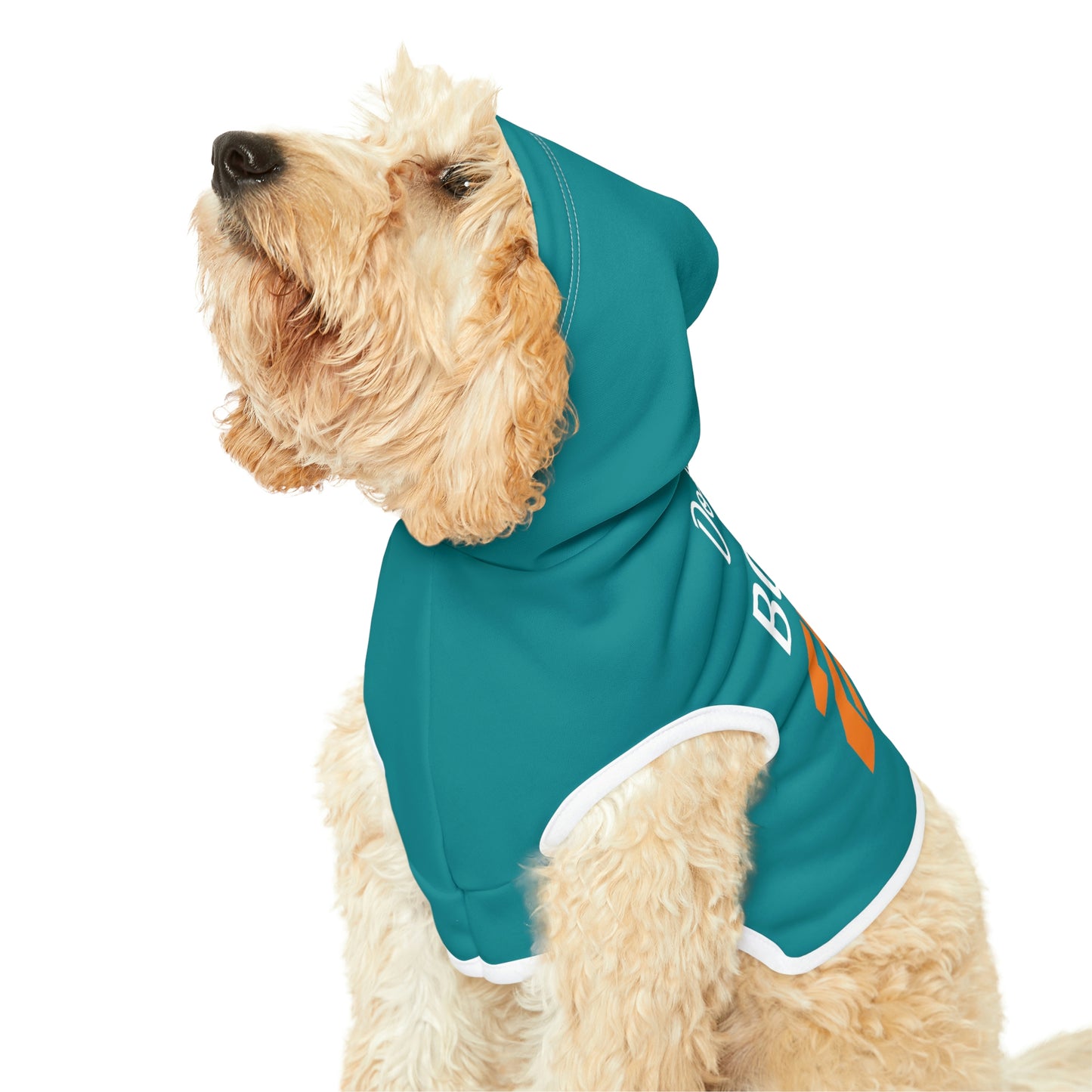 Personalized Miami Dolphins Pet Hoodie