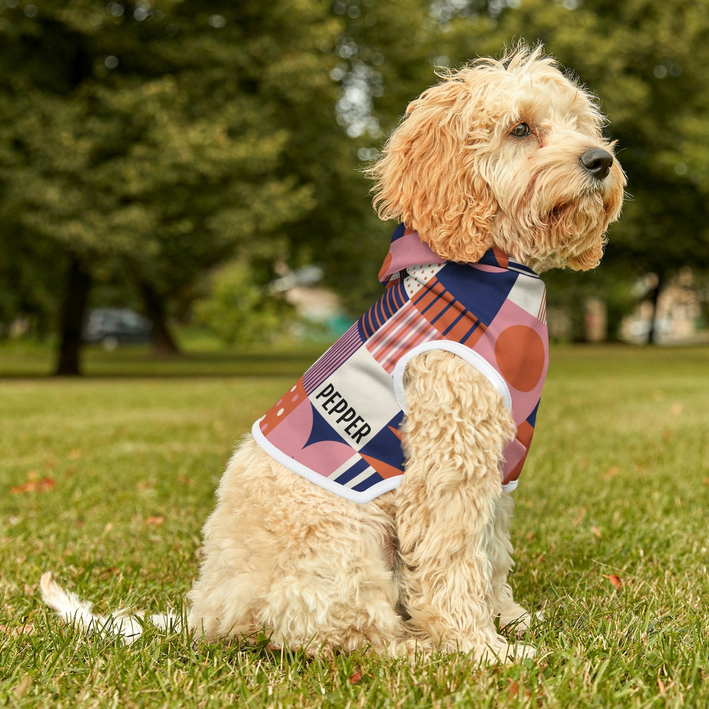 Personalized Retro Hippie Geometric Print Pet Hoodie