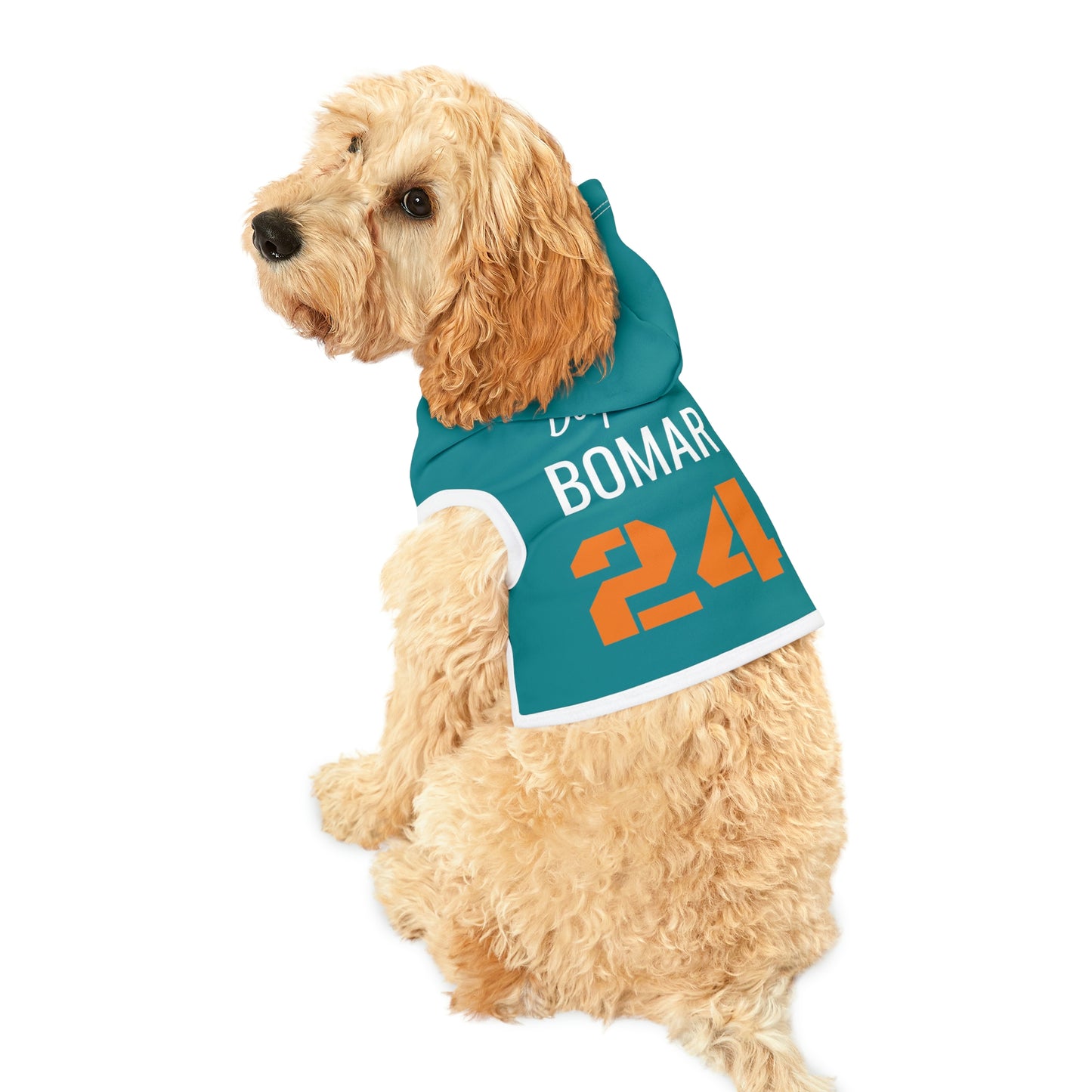 Personalized Miami Dolphins Pet Hoodie